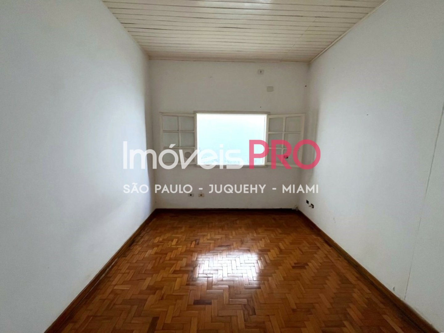 Foto :: IP39276