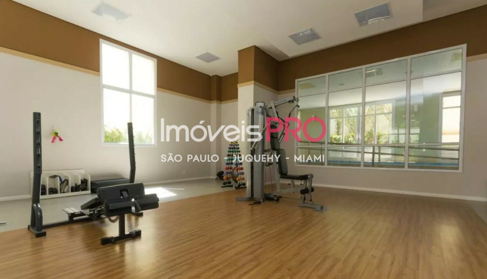 Foto :: IP39279