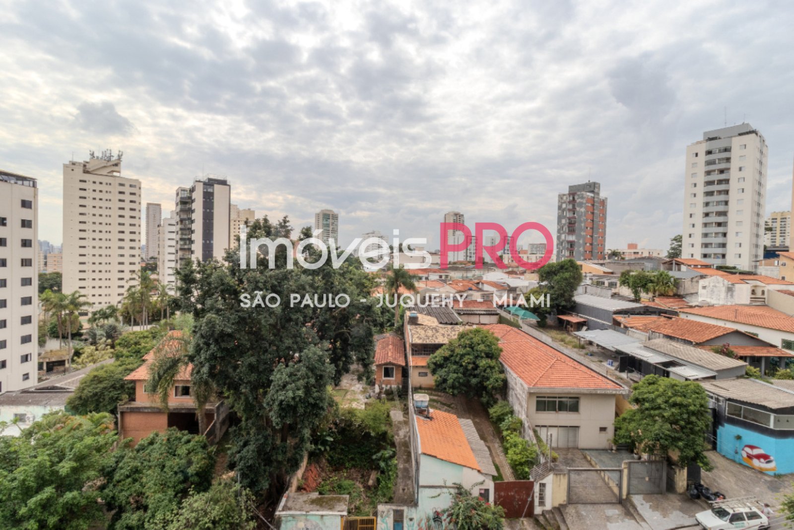 Foto :: IP39279