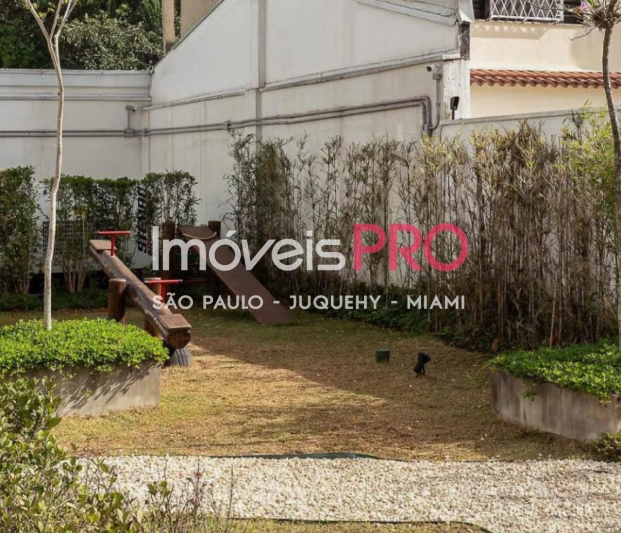 Foto :: IP39281