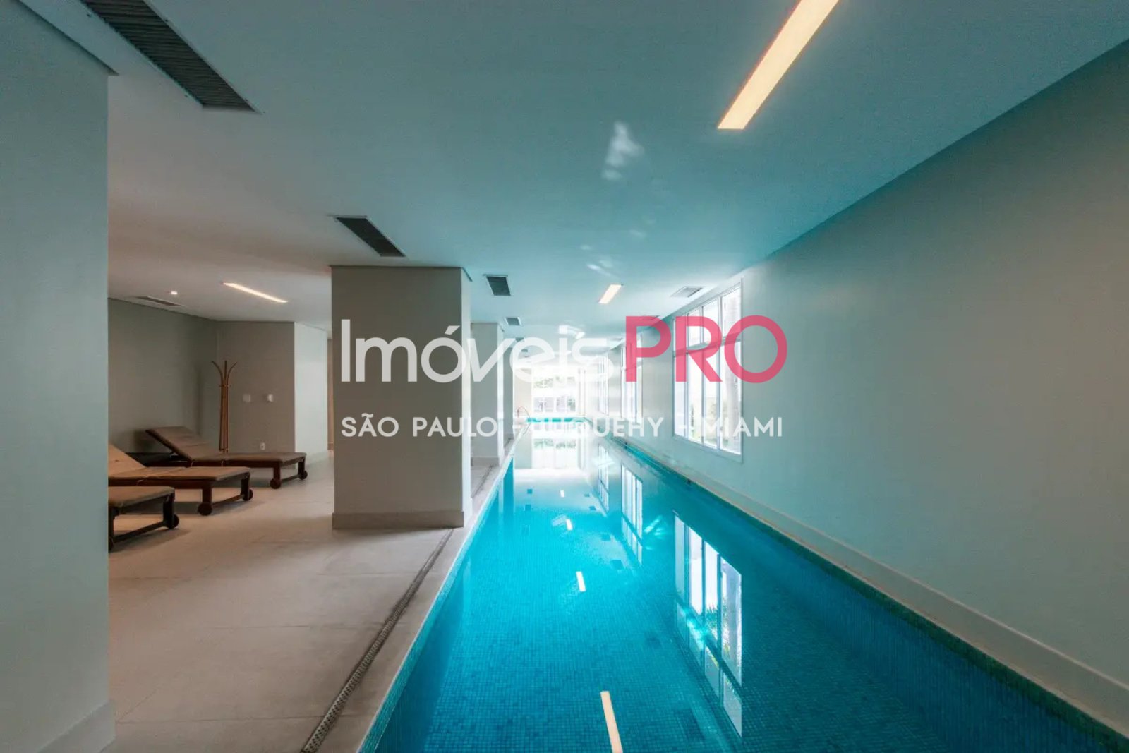 Foto :: IP39287