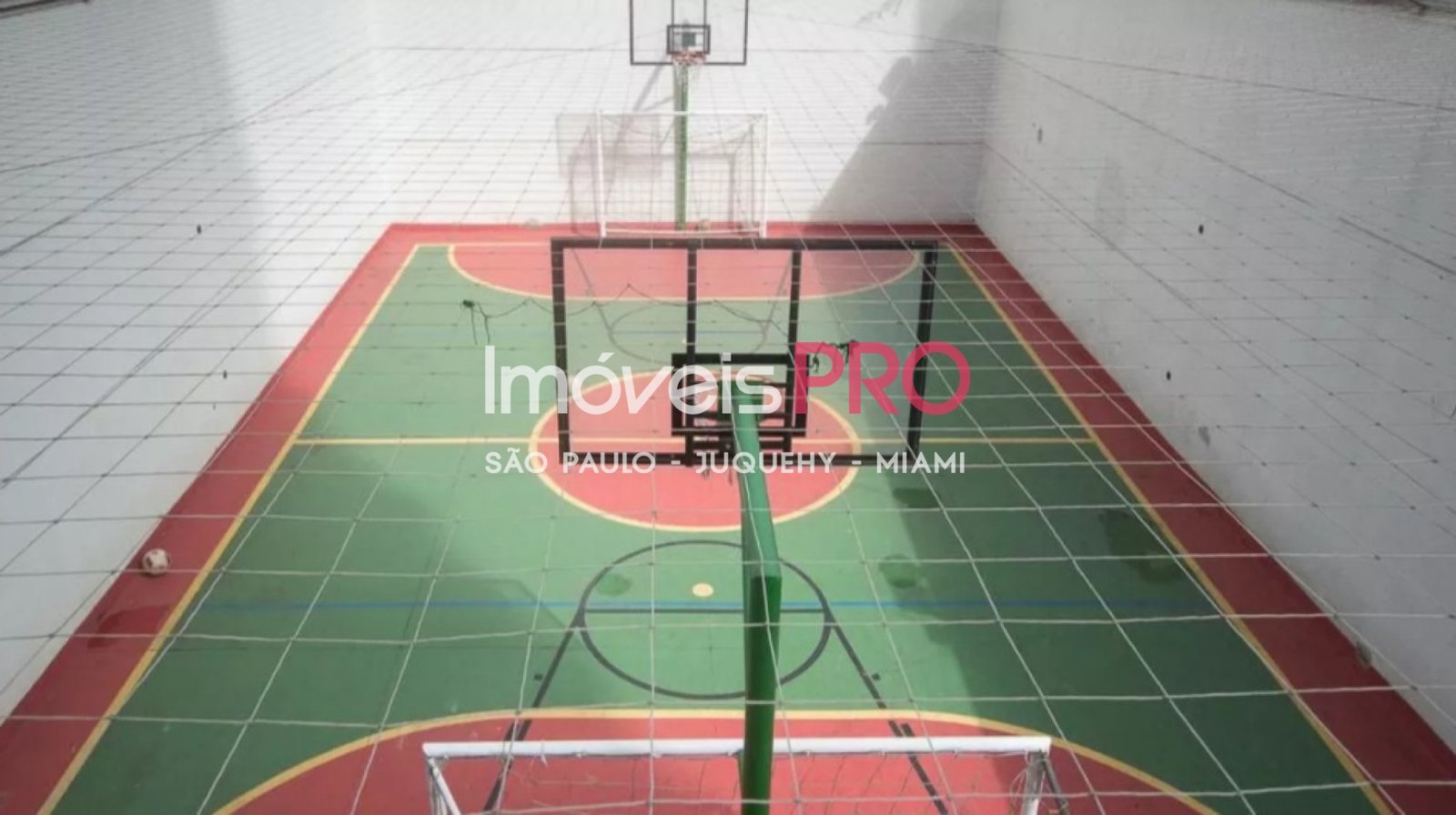 Foto :: IP39287
