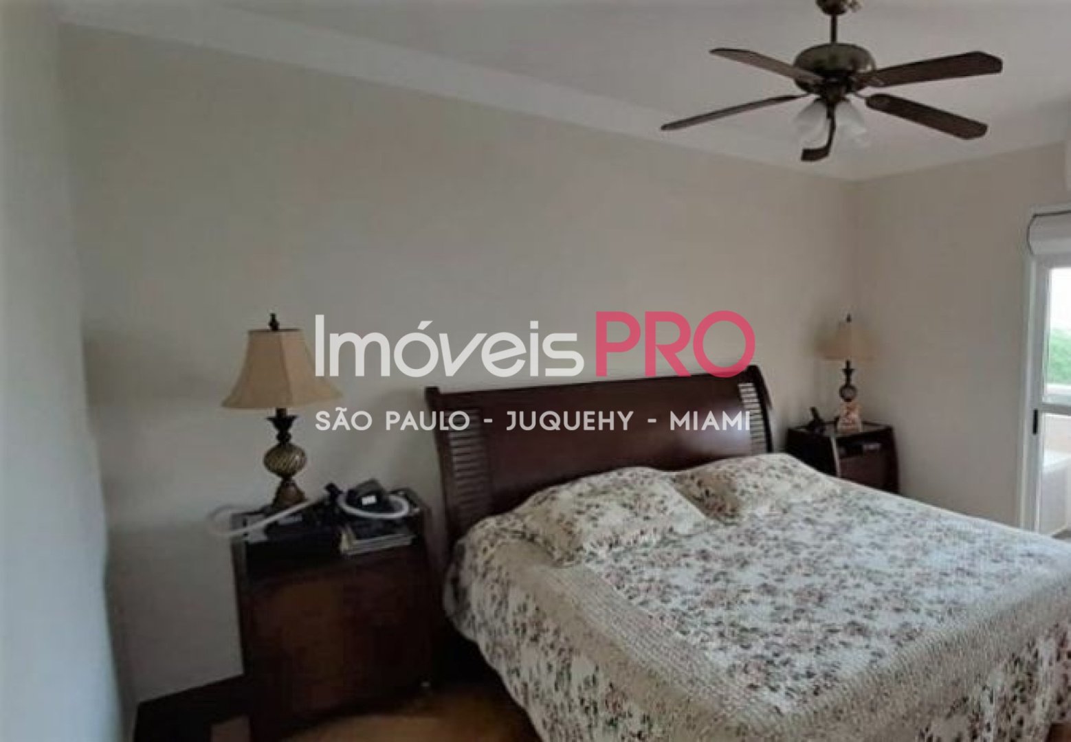 Foto :: IP39295