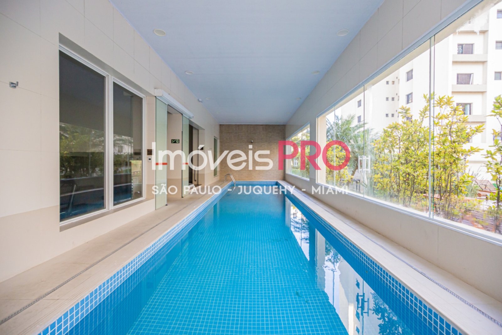 Foto :: IP39311