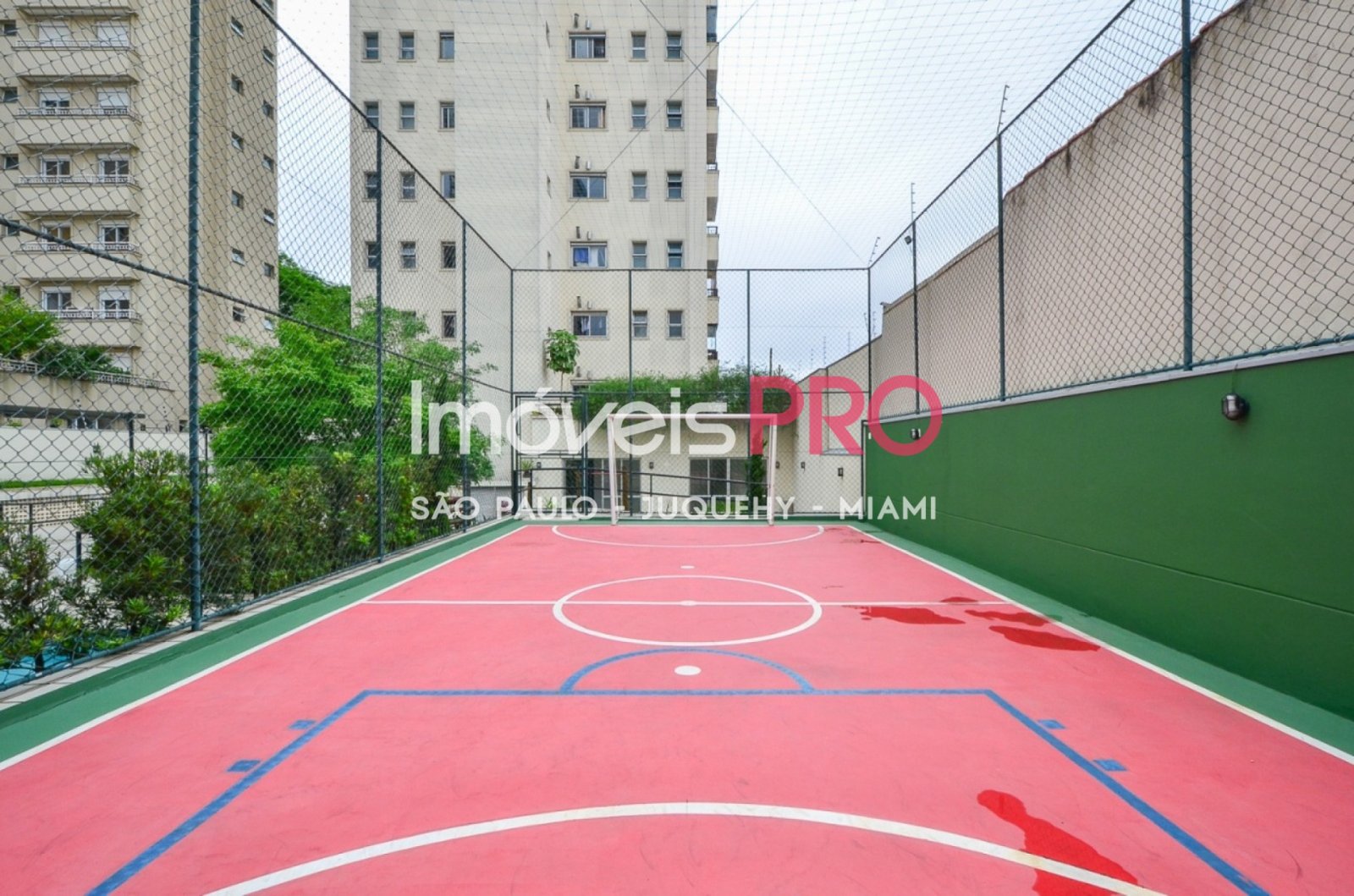 Foto :: IP39313