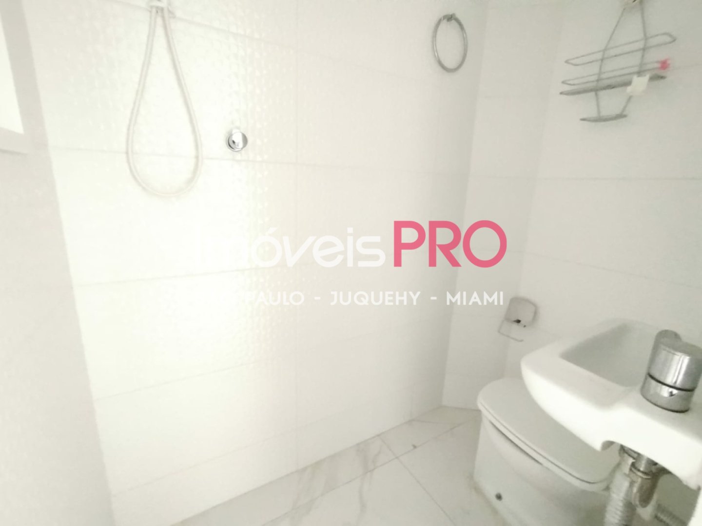 Foto :: IP39314