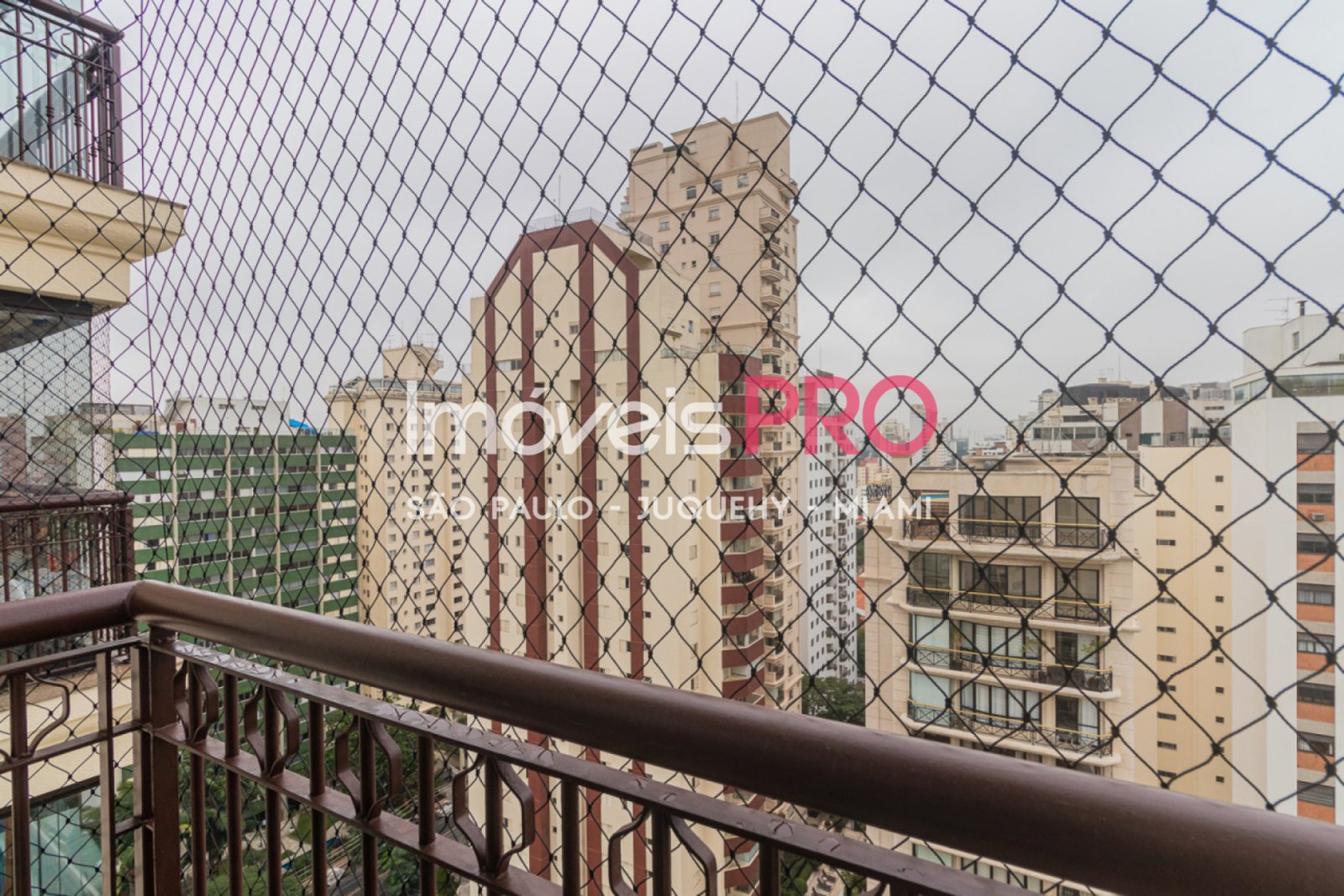 Foto :: IP39316