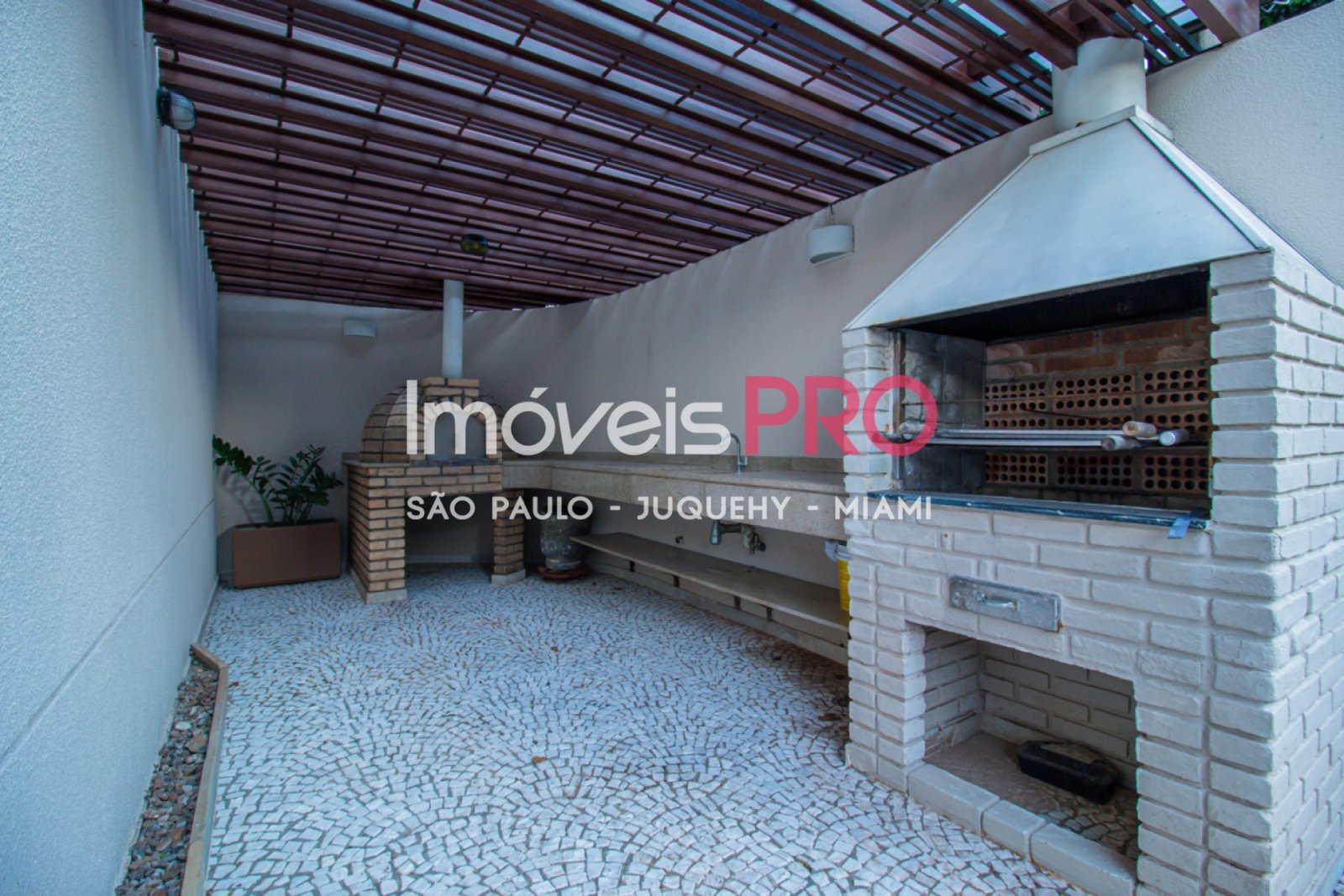 Foto :: IP39318
