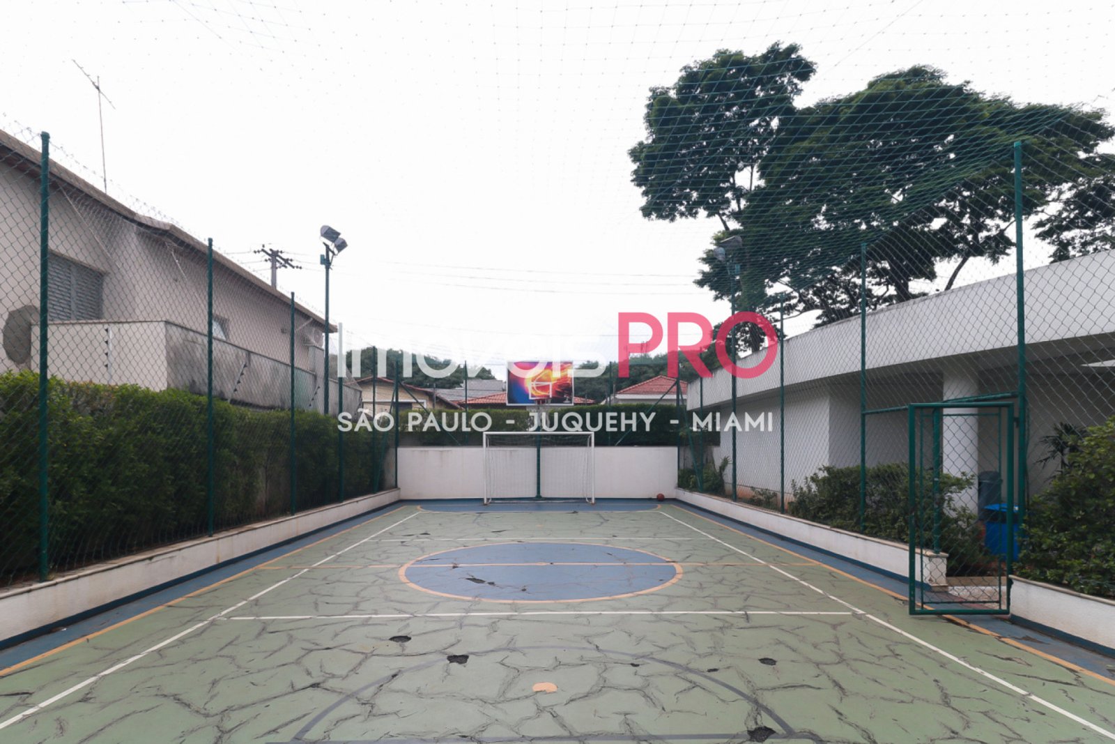Foto :: IP39318