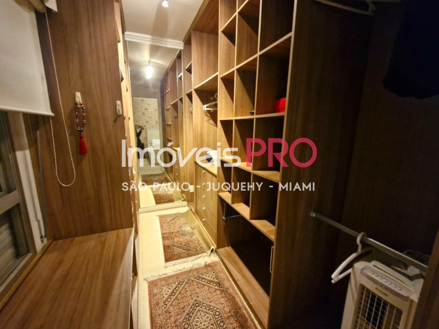 Foto :: IP39322