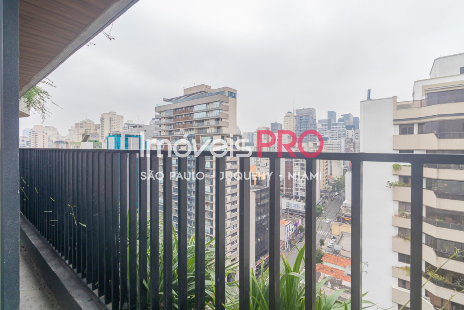 Foto :: IP39326