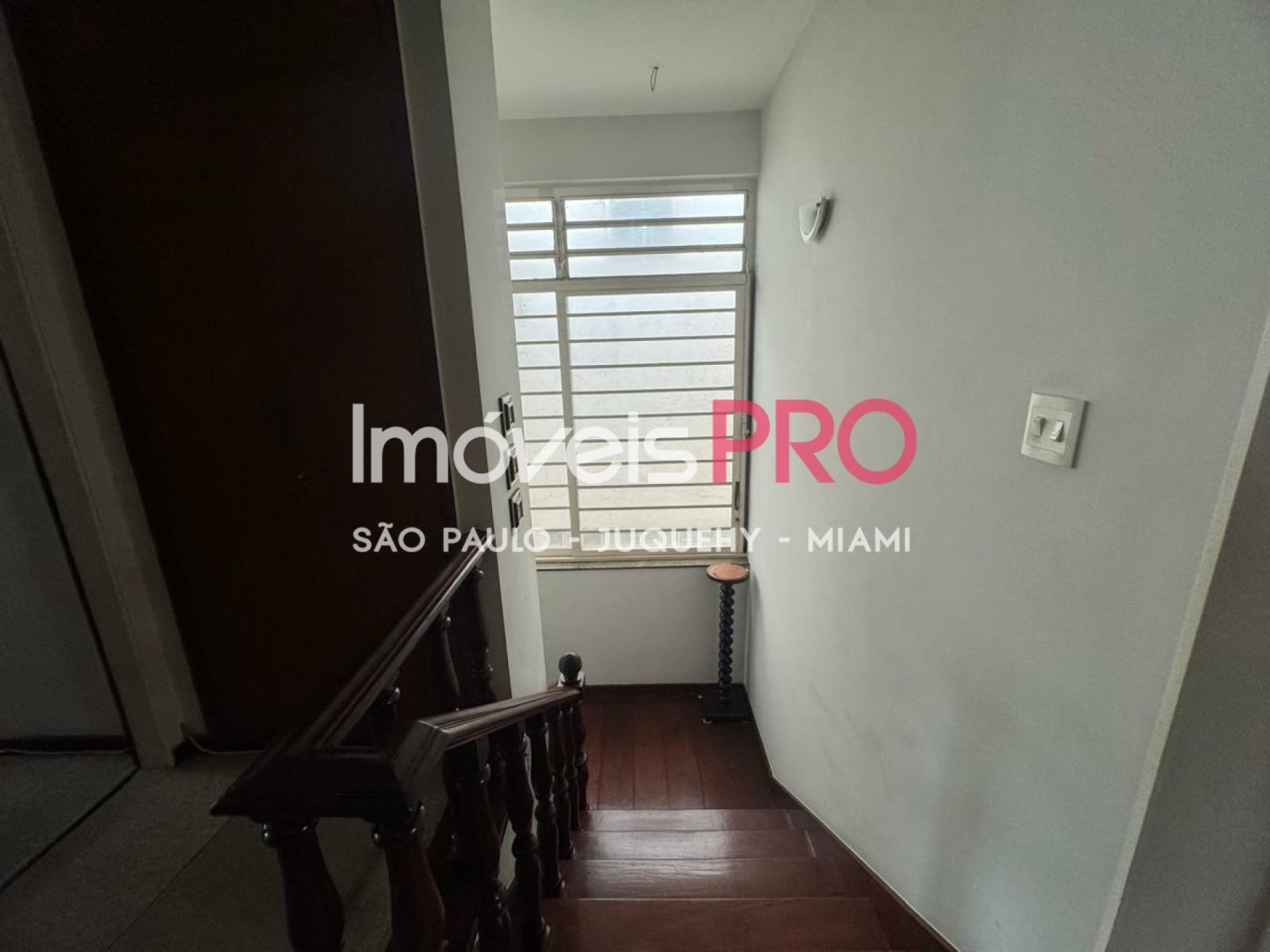 Foto :: IP39327