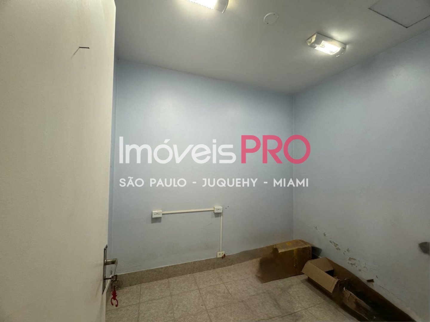 Foto :: IP39327