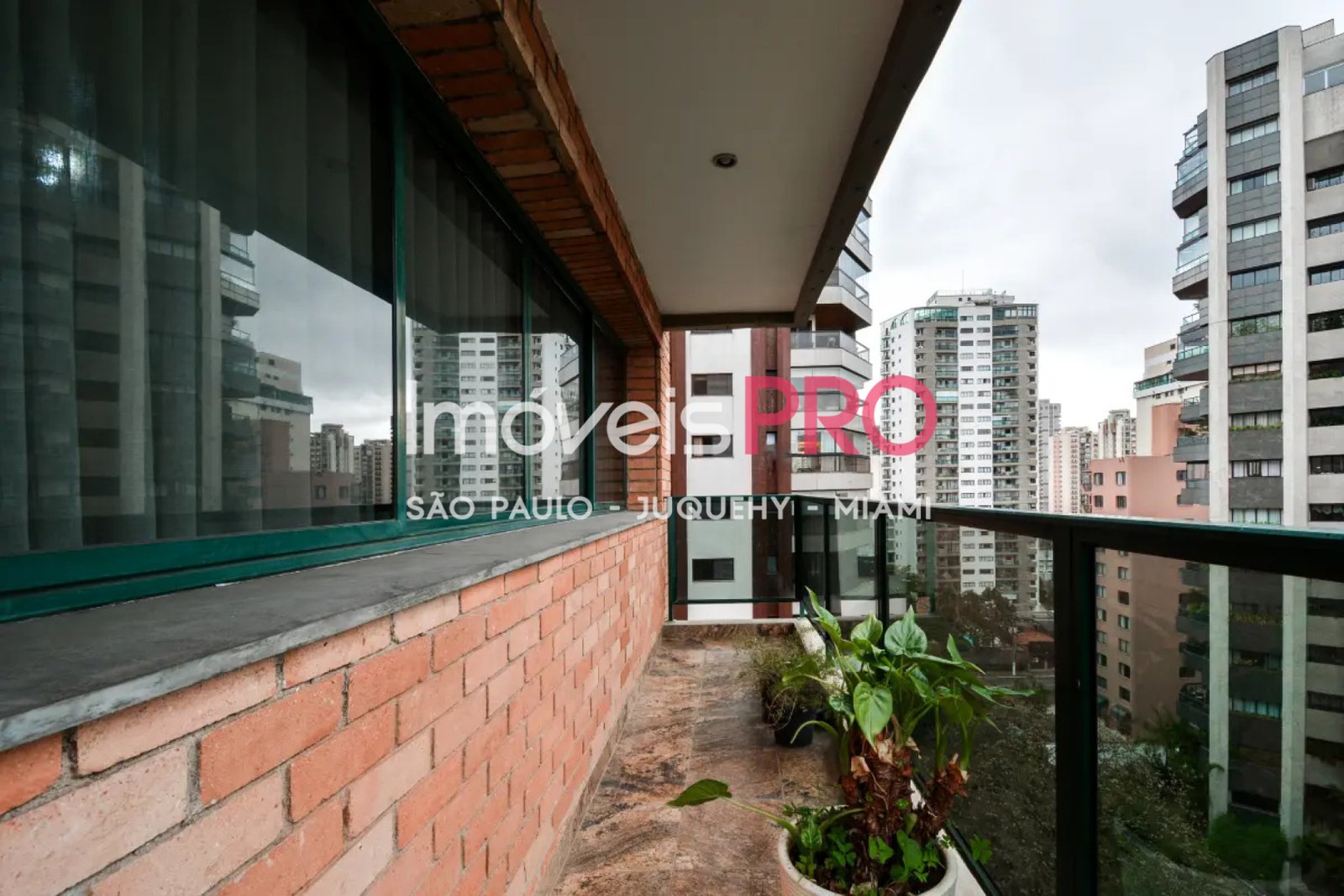 Foto :: IP39332