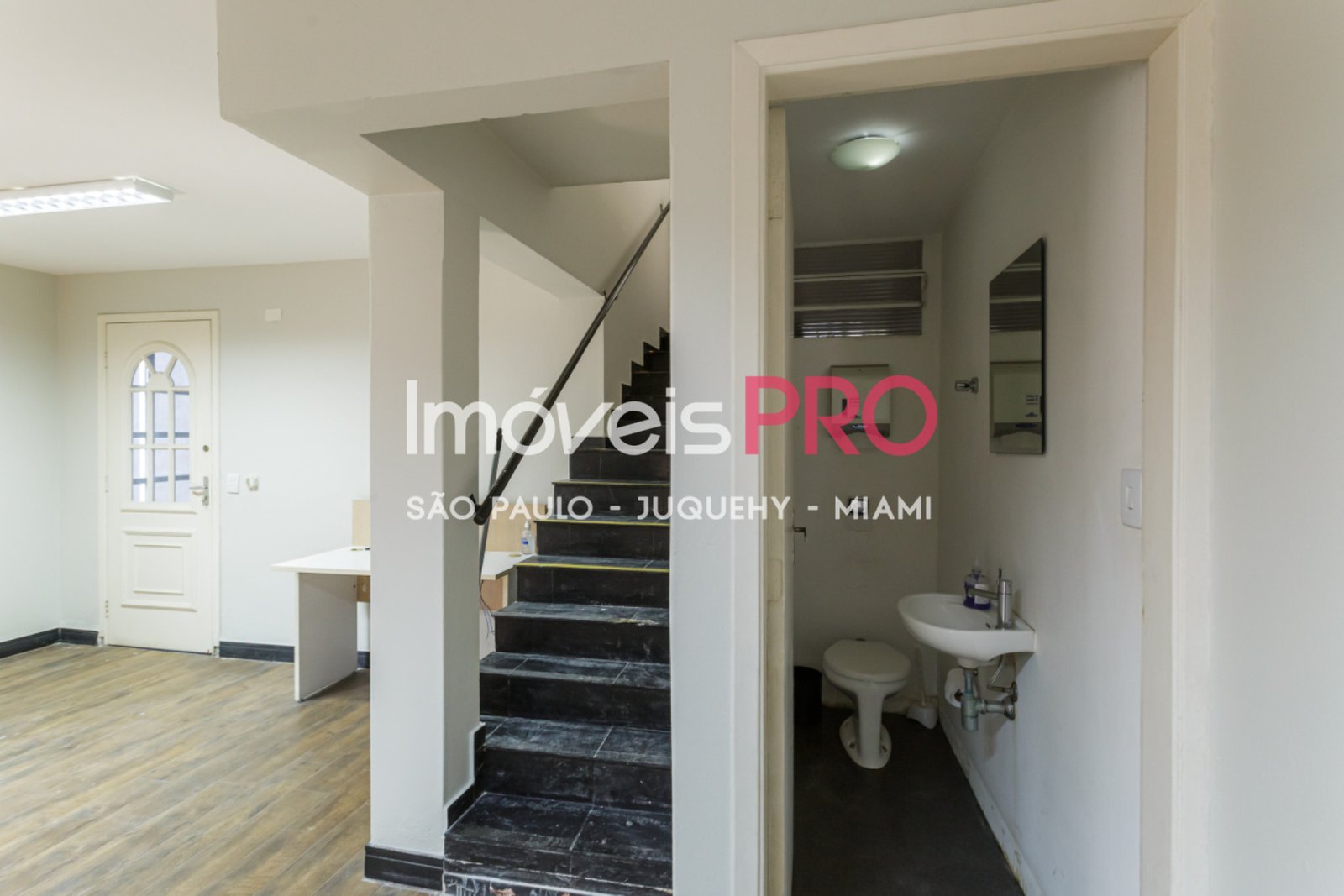 Foto :: IP39335
