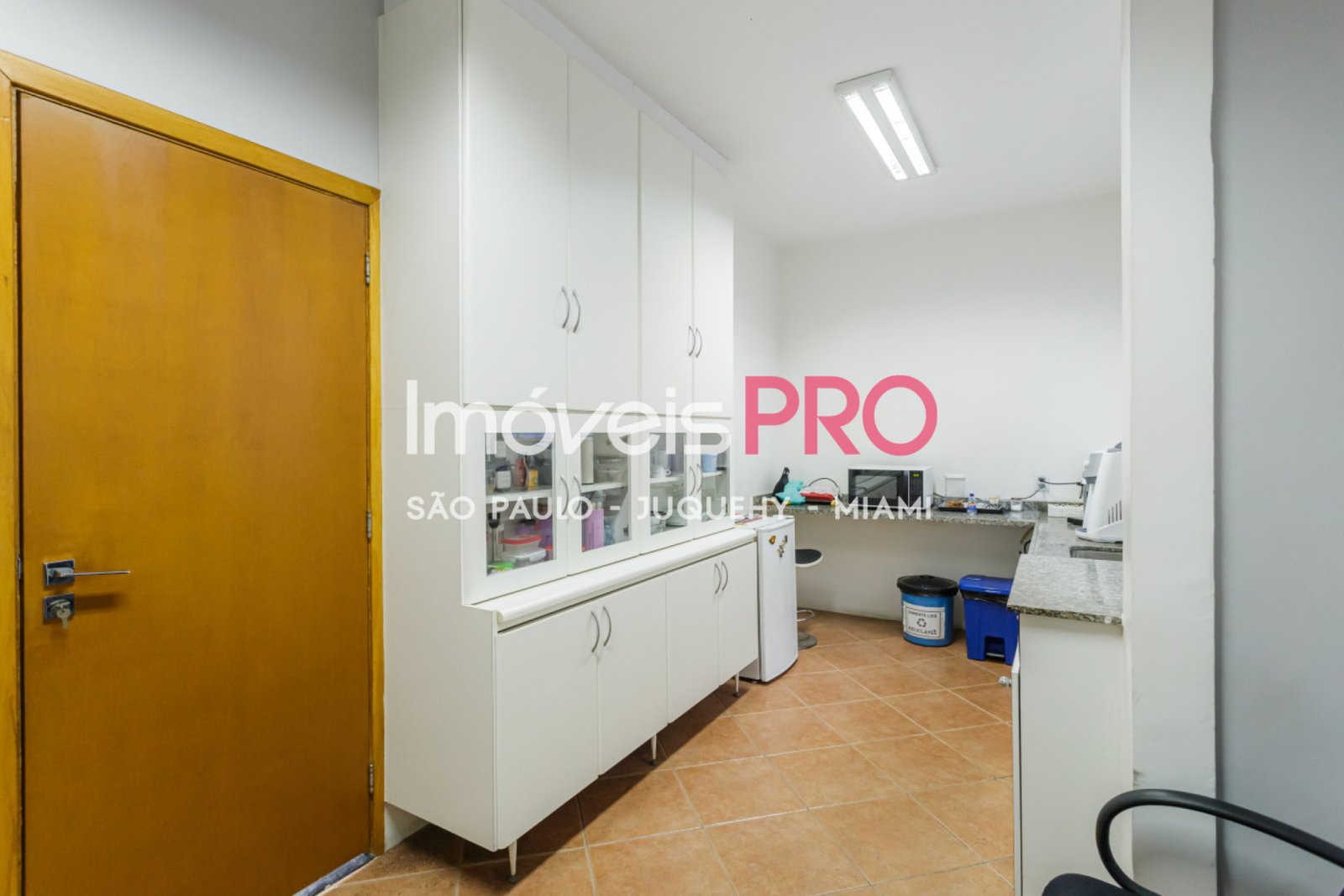 Foto :: IP39335