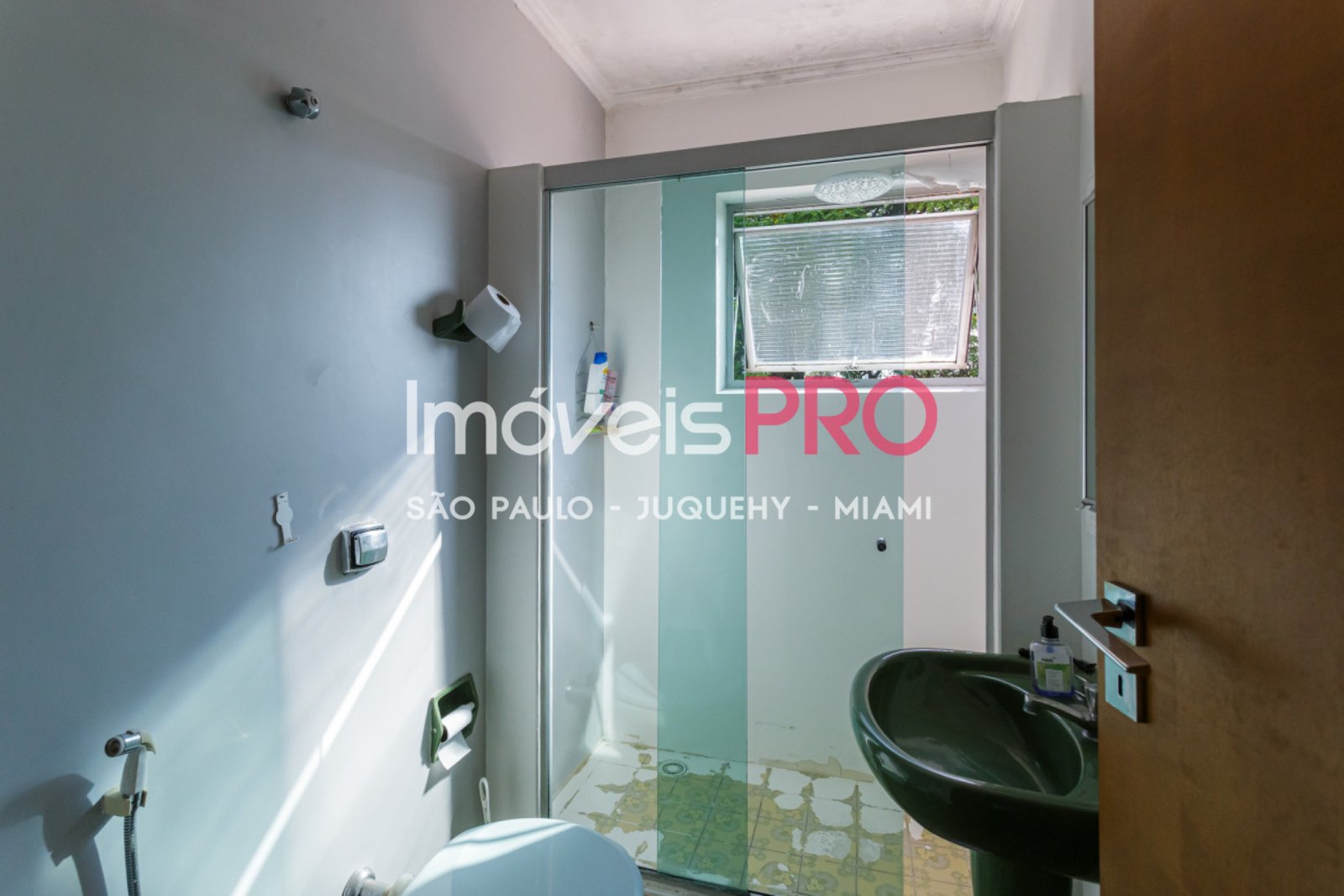 Foto :: IP39335