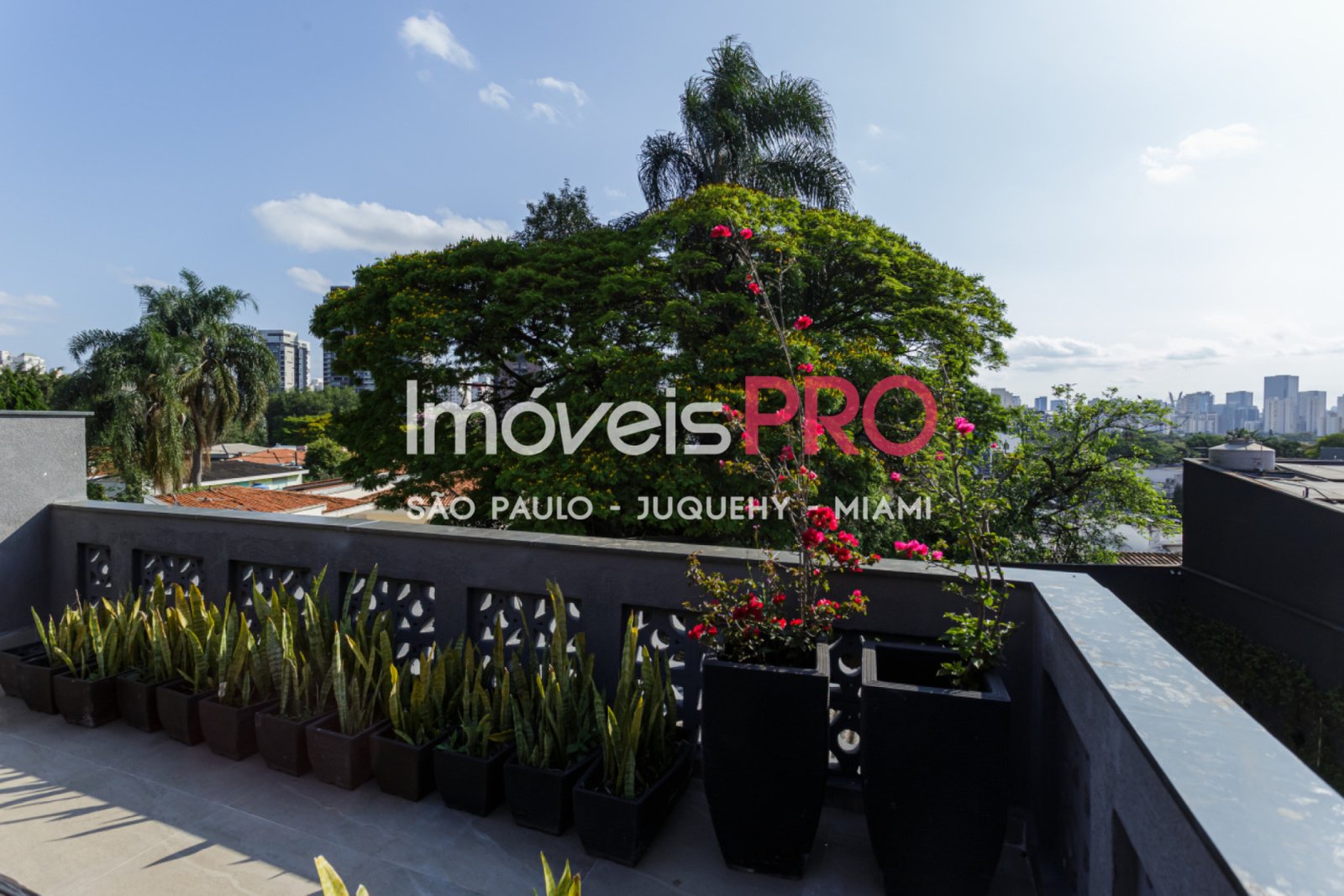 Foto :: IP39335