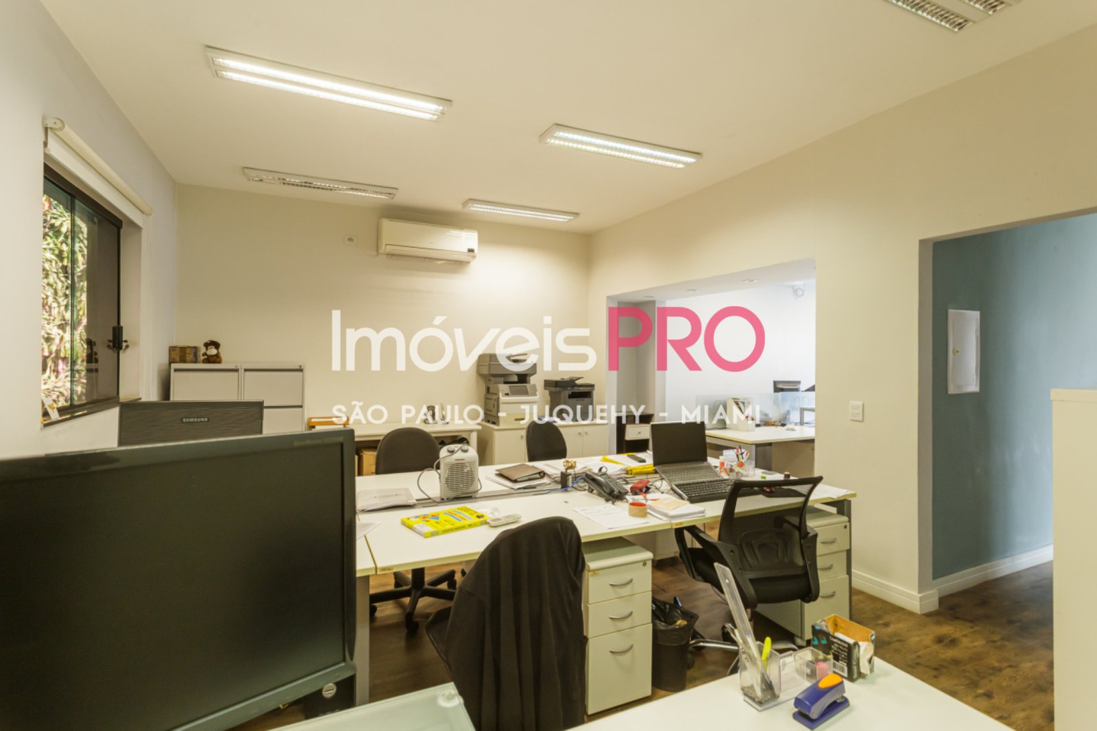 Foto :: IP39335