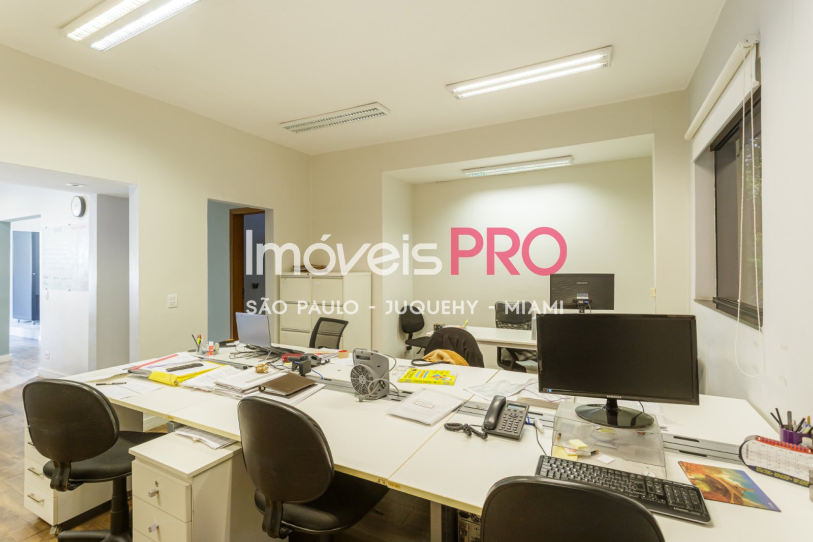 Foto :: IP39335