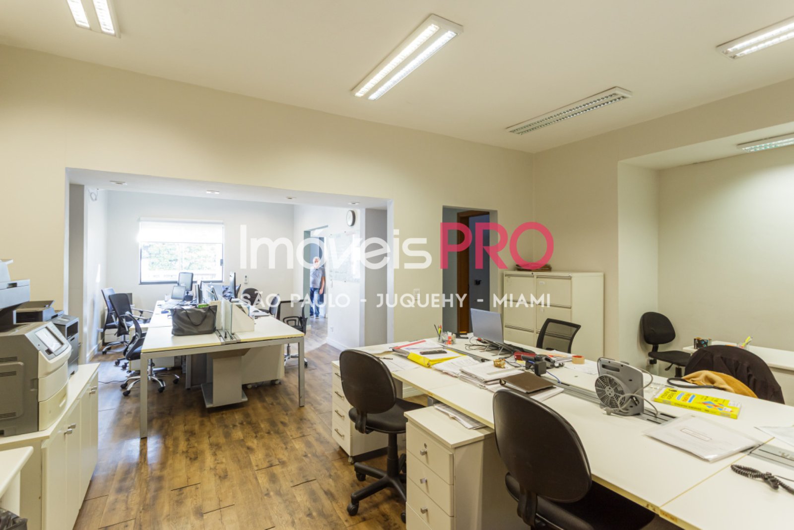 Foto :: IP39335