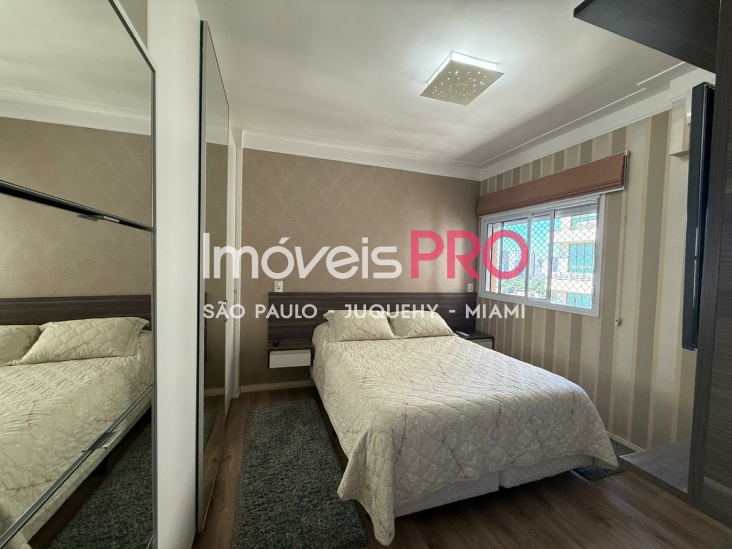 Foto :: IP39338