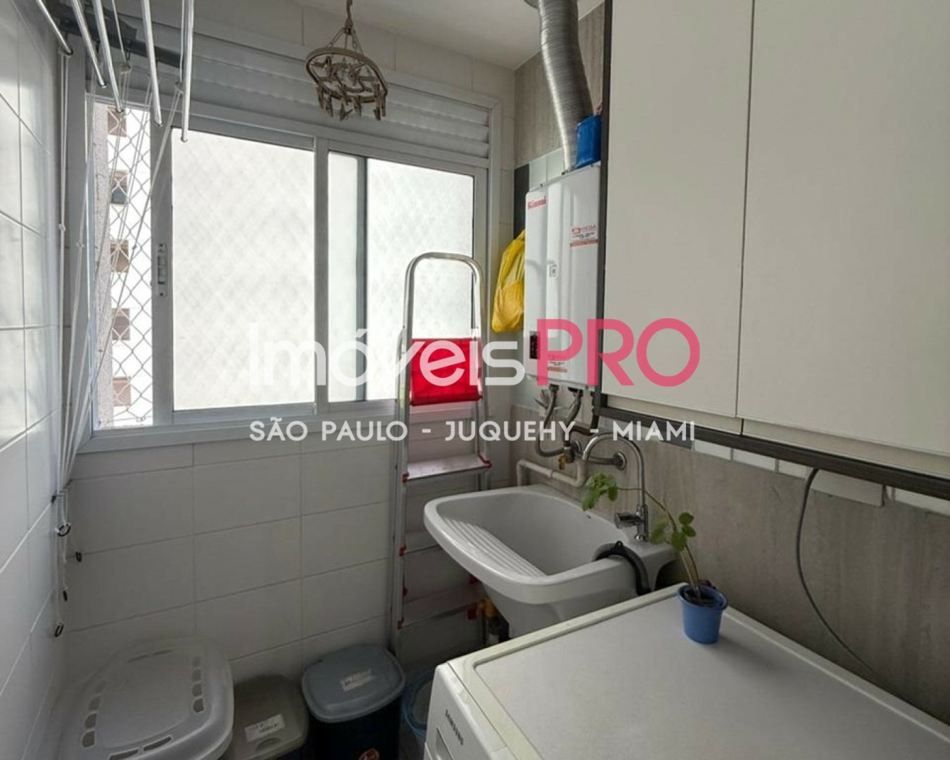 Foto :: IP39338