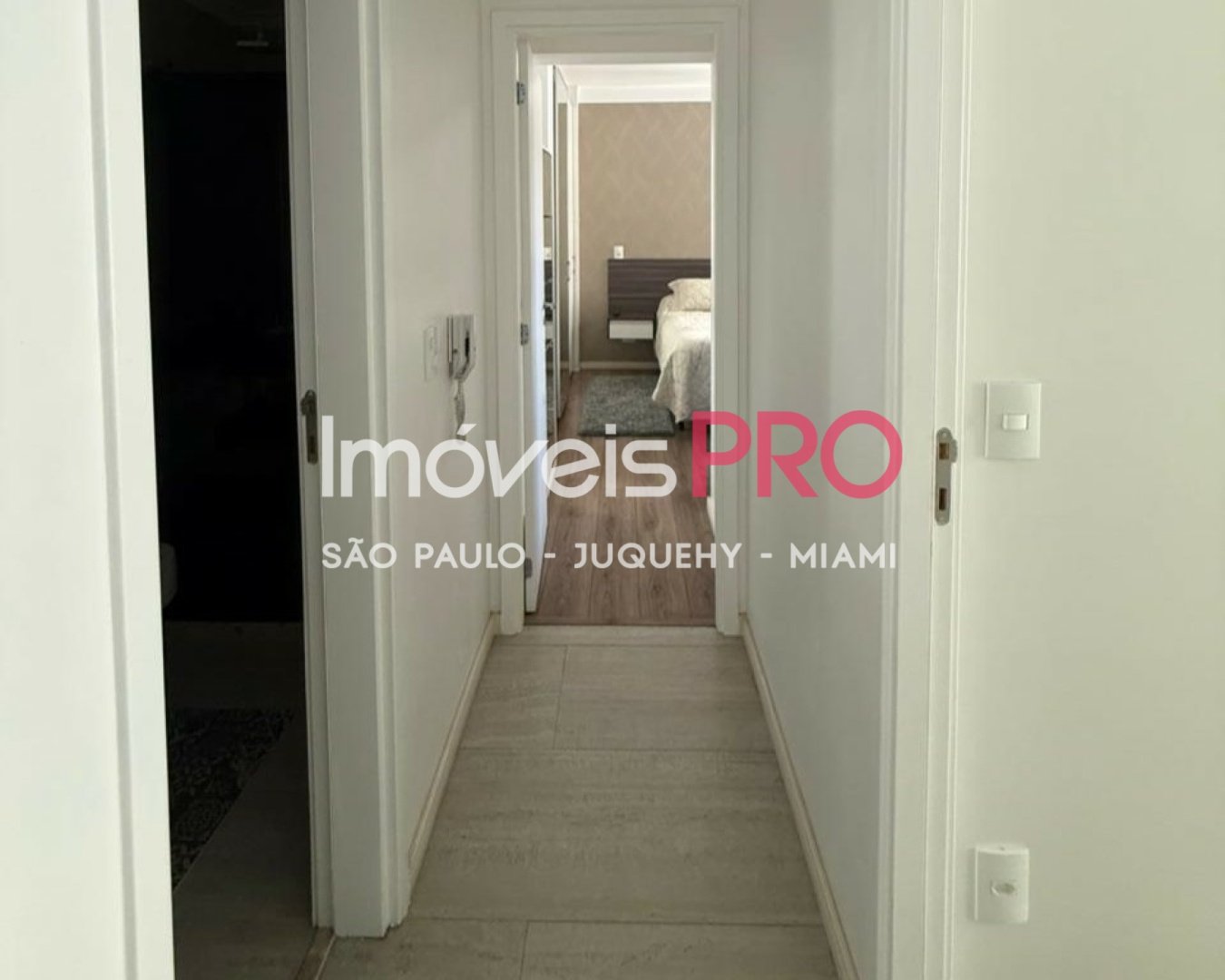 Foto :: IP39338