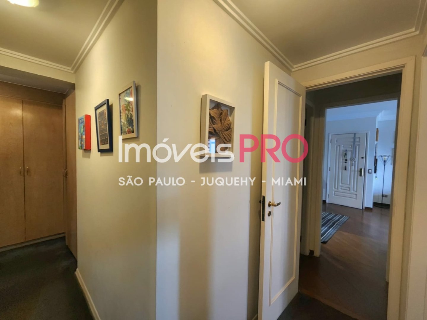 Foto :: IP39340