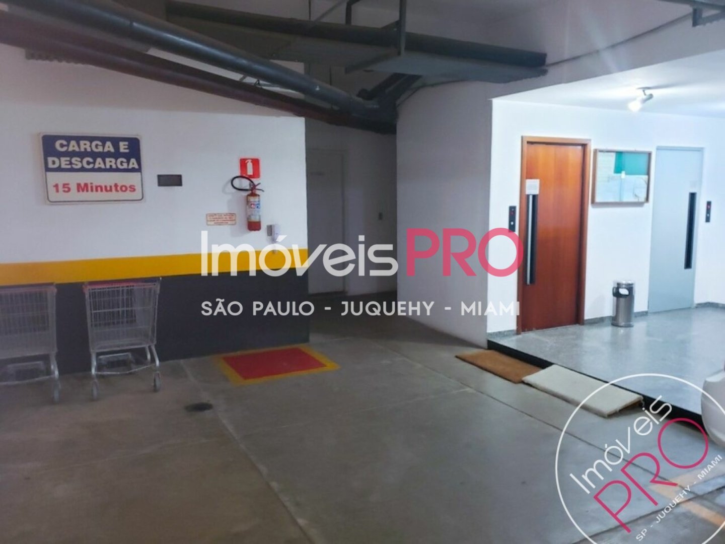 Foto :: IP39345