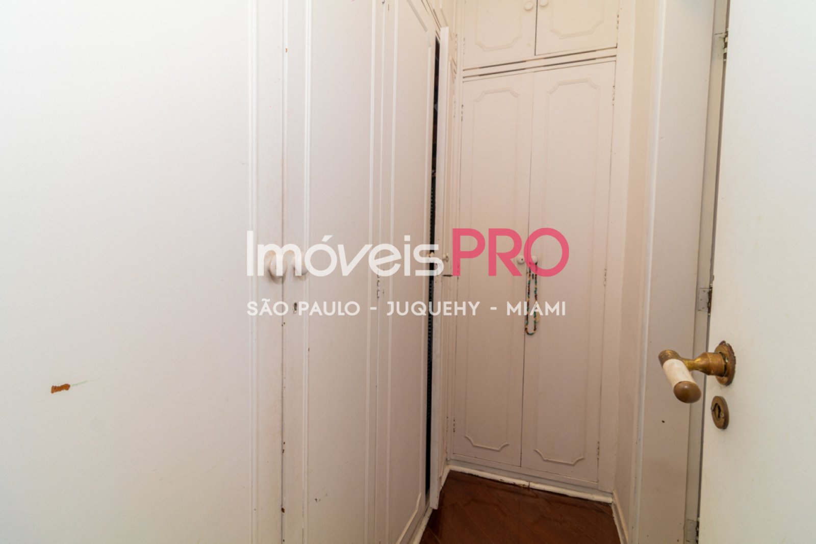 Foto :: IP39347