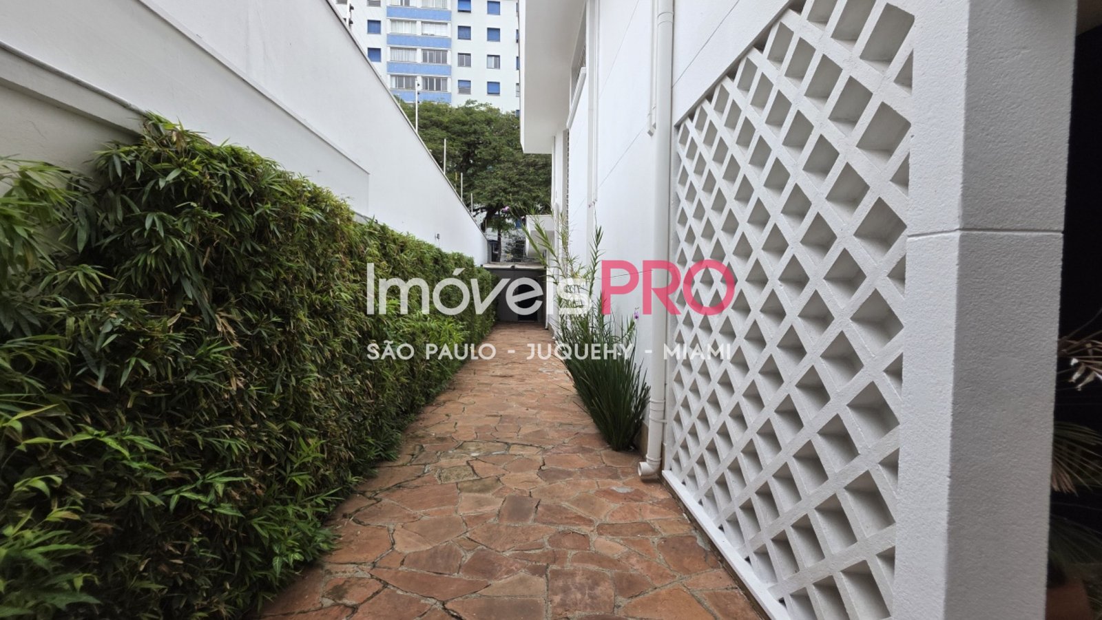 Foto :: IP39349
