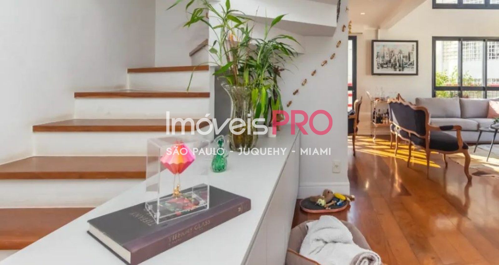 Foto :: IP39354