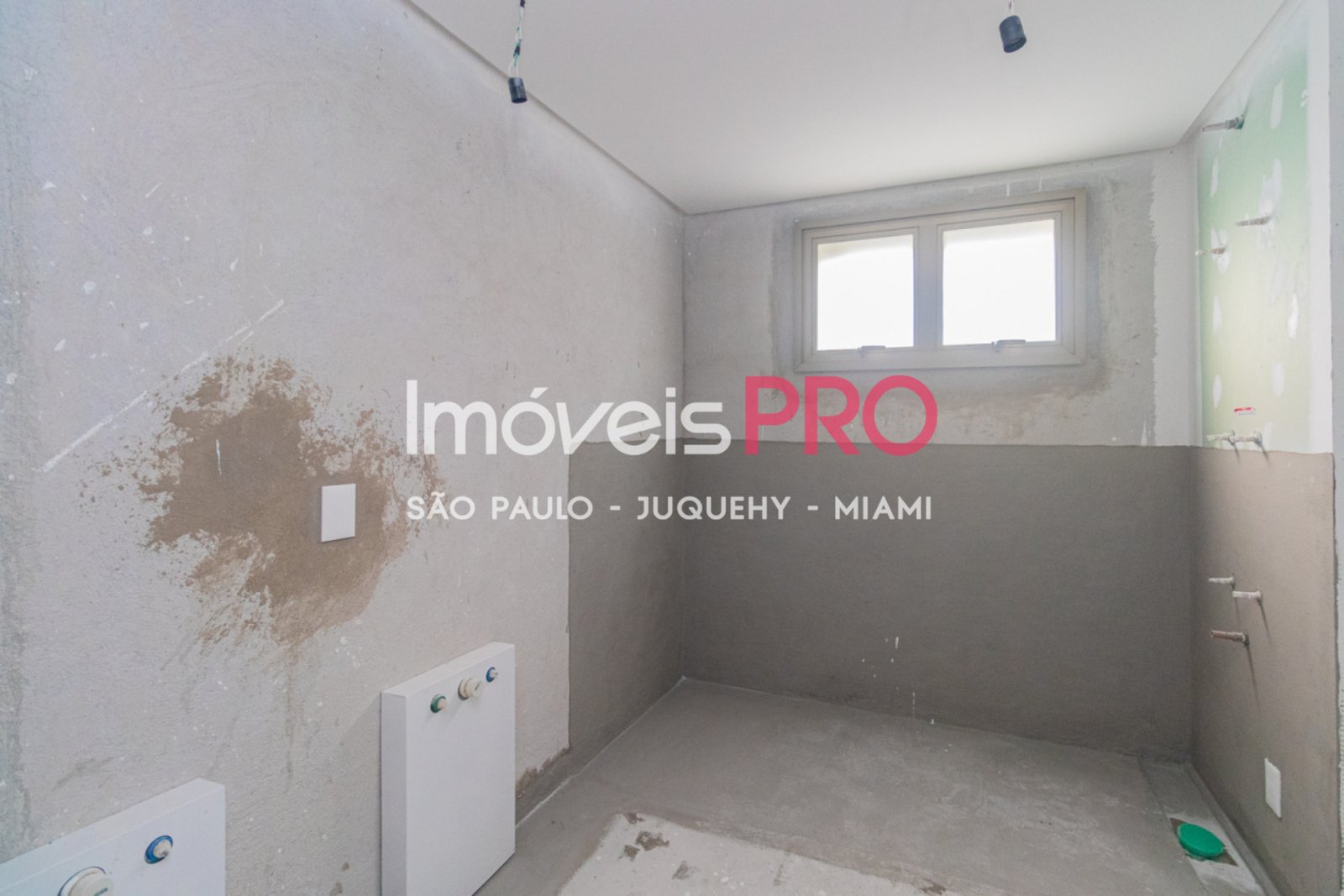 Foto :: IP39357