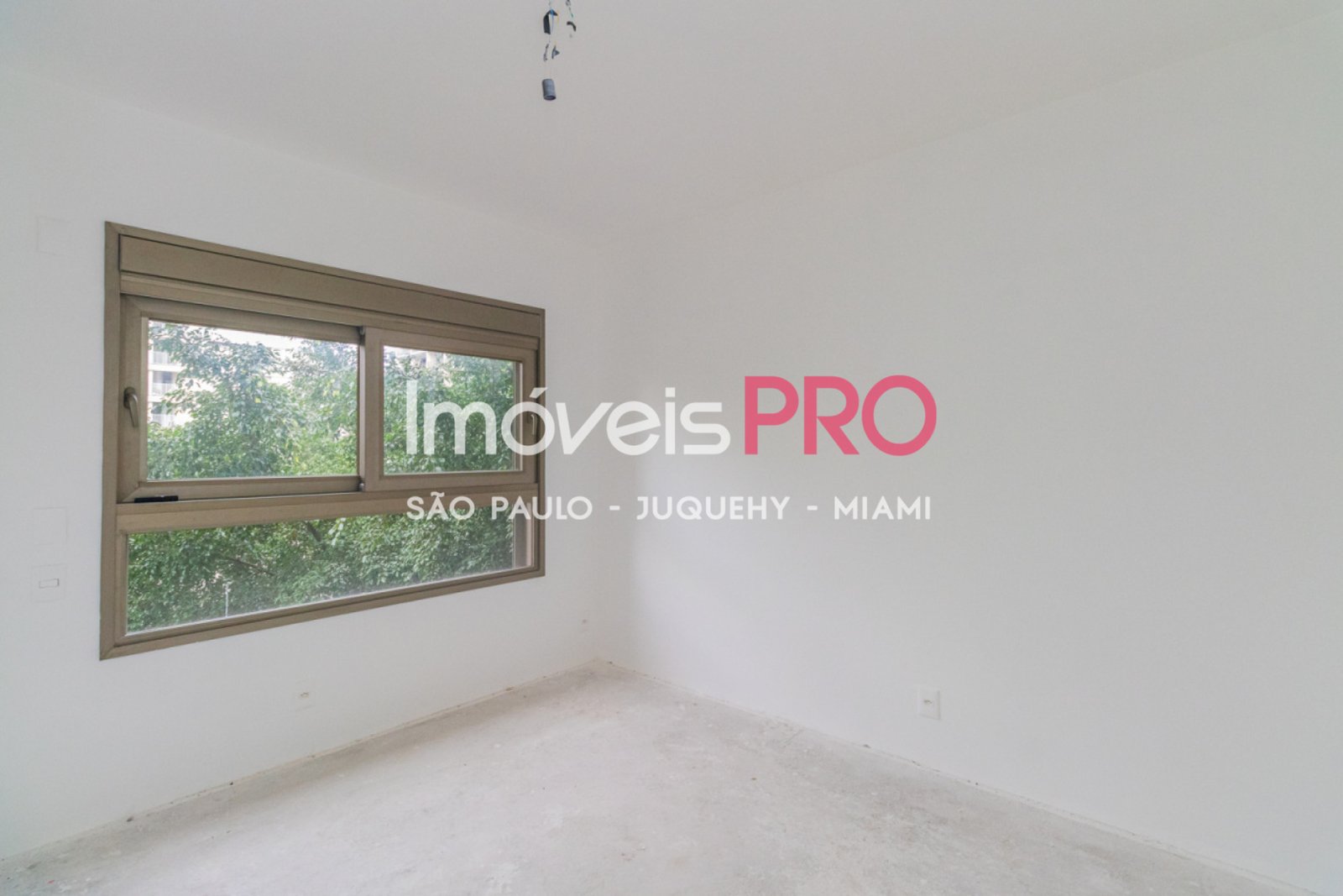Foto :: IP39357