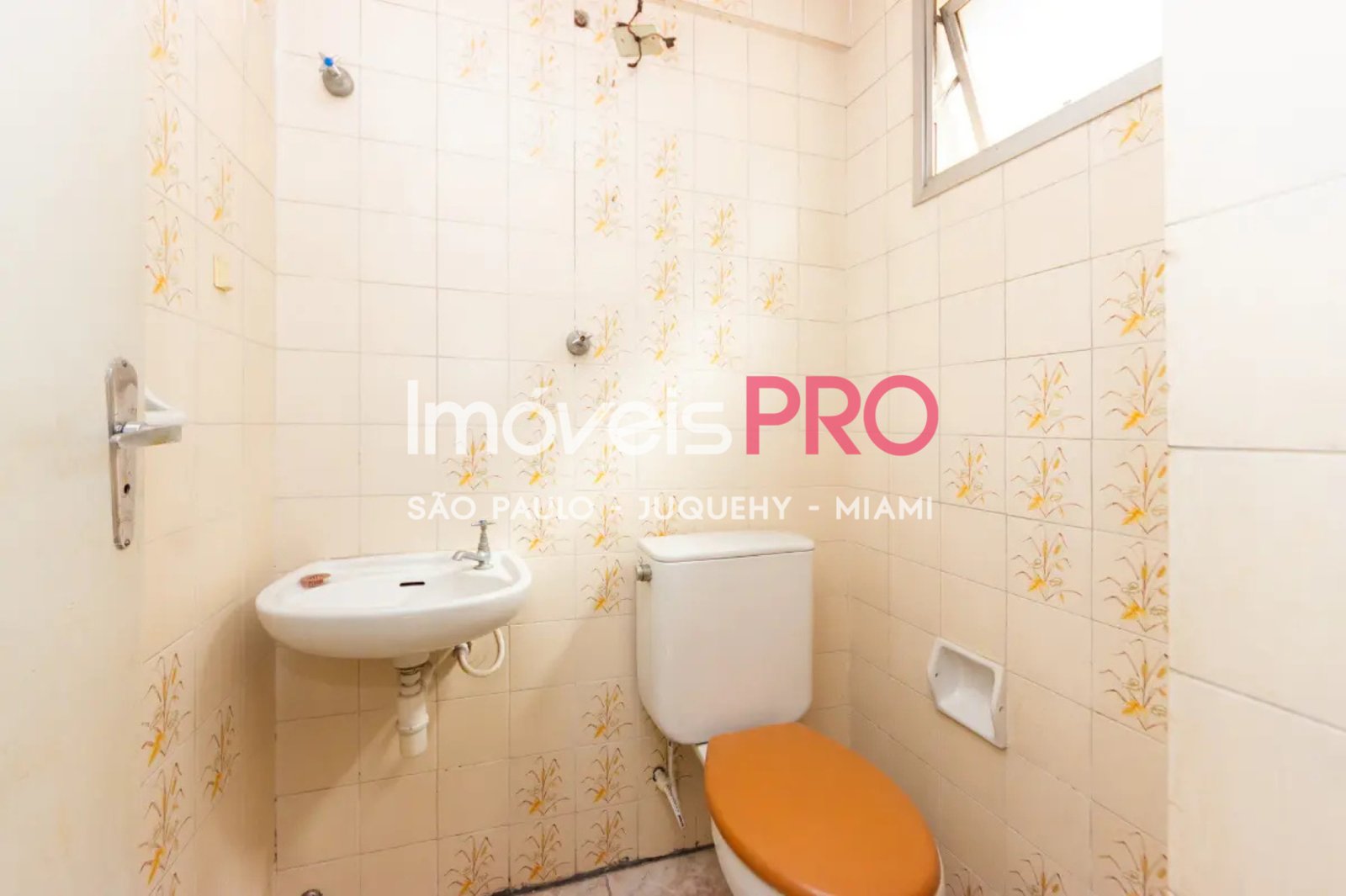 Foto :: IP39364