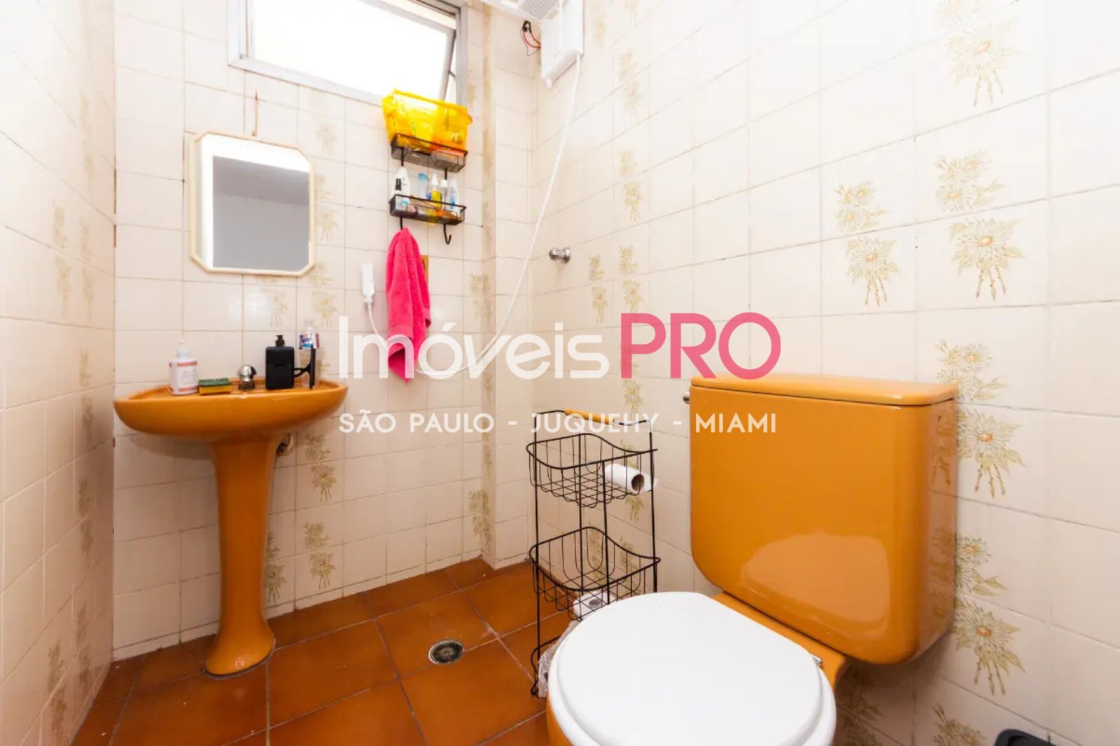 Foto :: IP39364