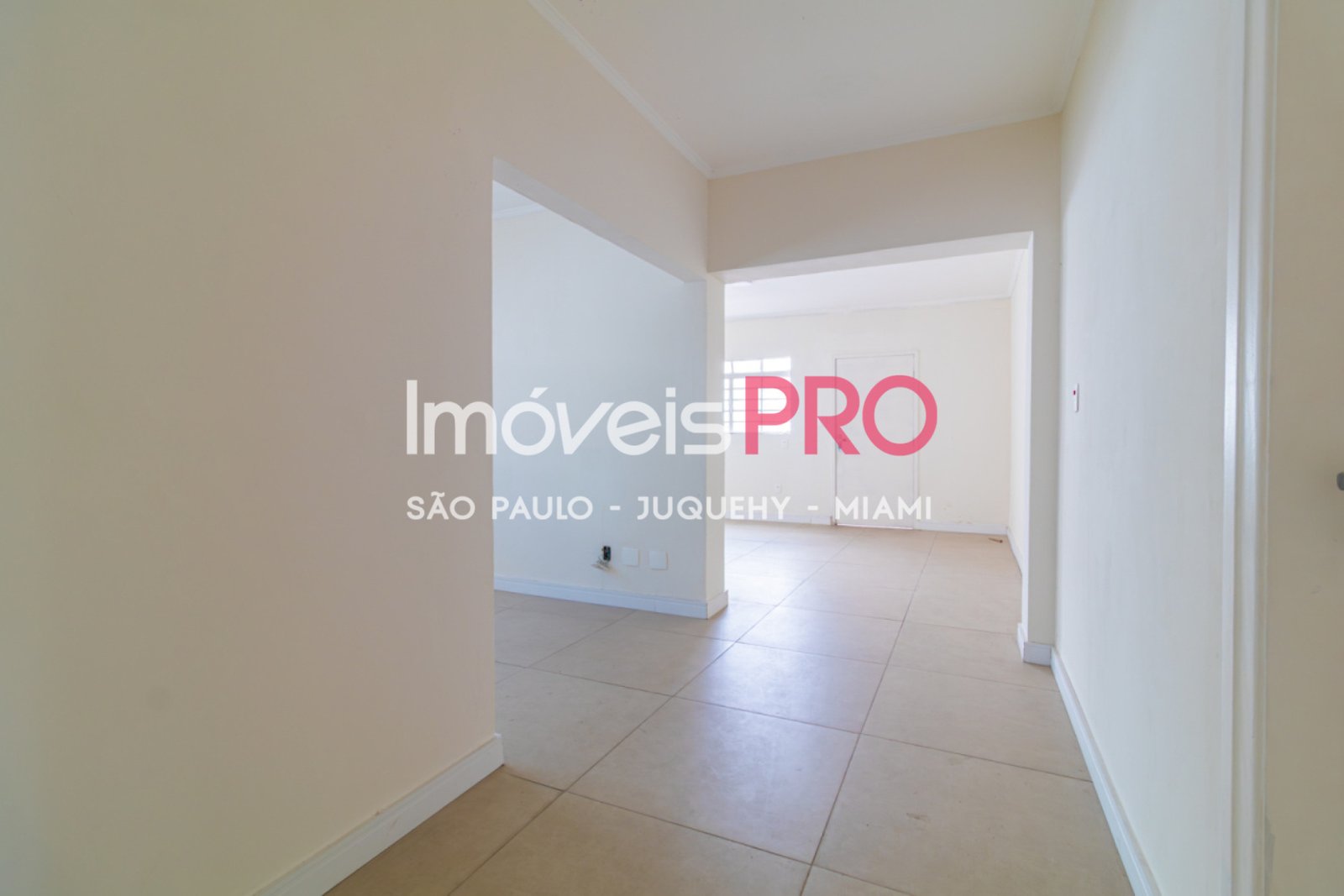 Foto :: IP39367