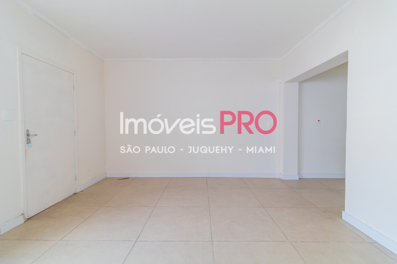 Foto :: IP39367