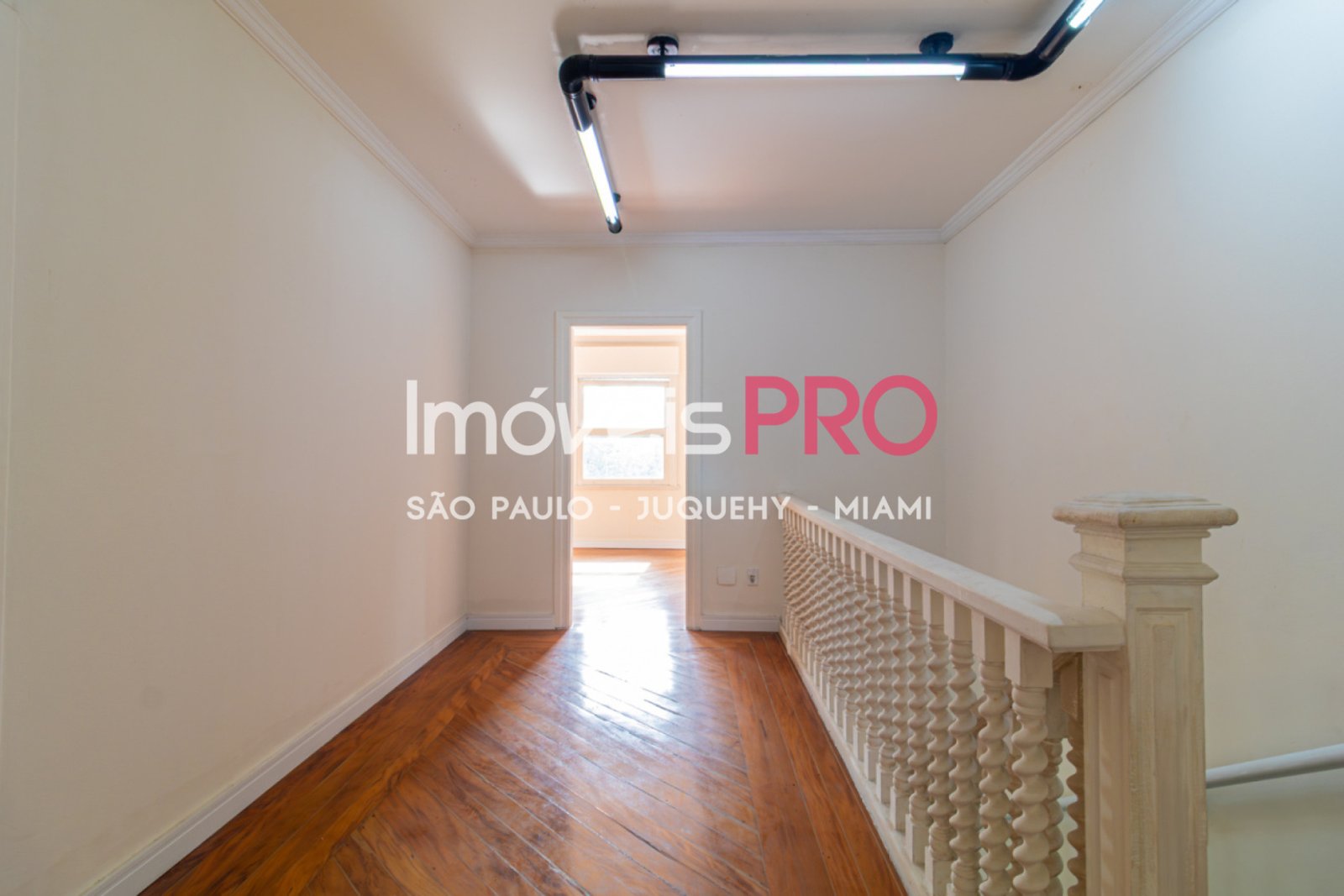 Foto :: IP39367