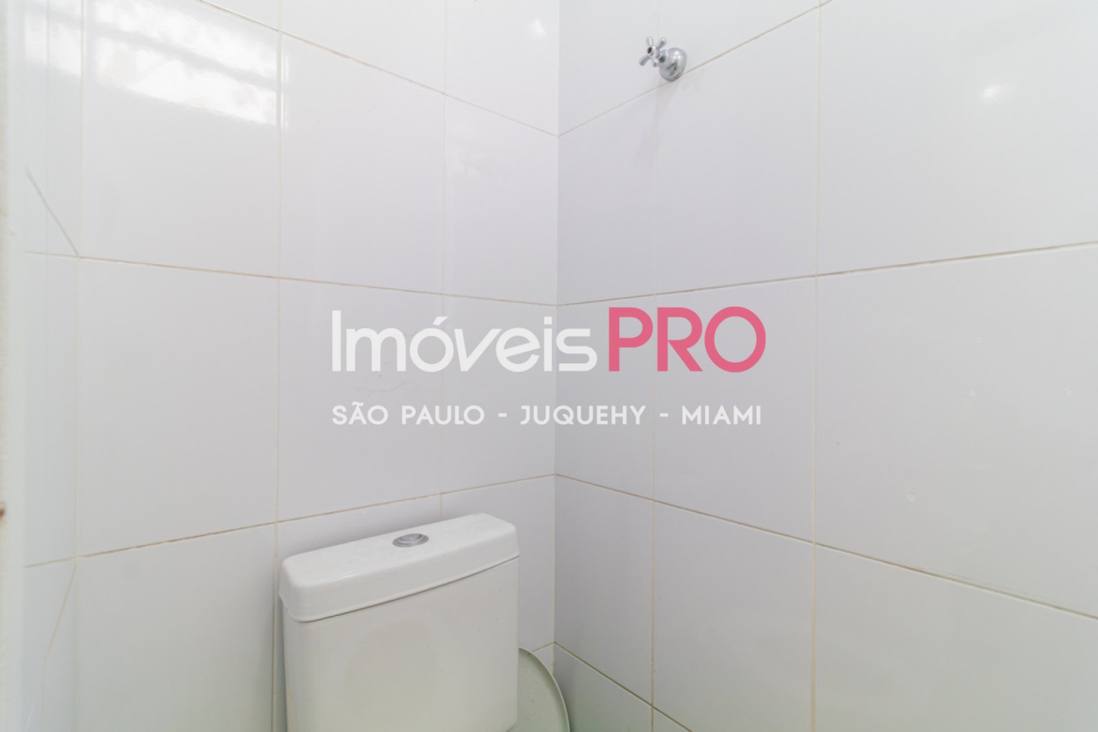 Foto :: IP39367