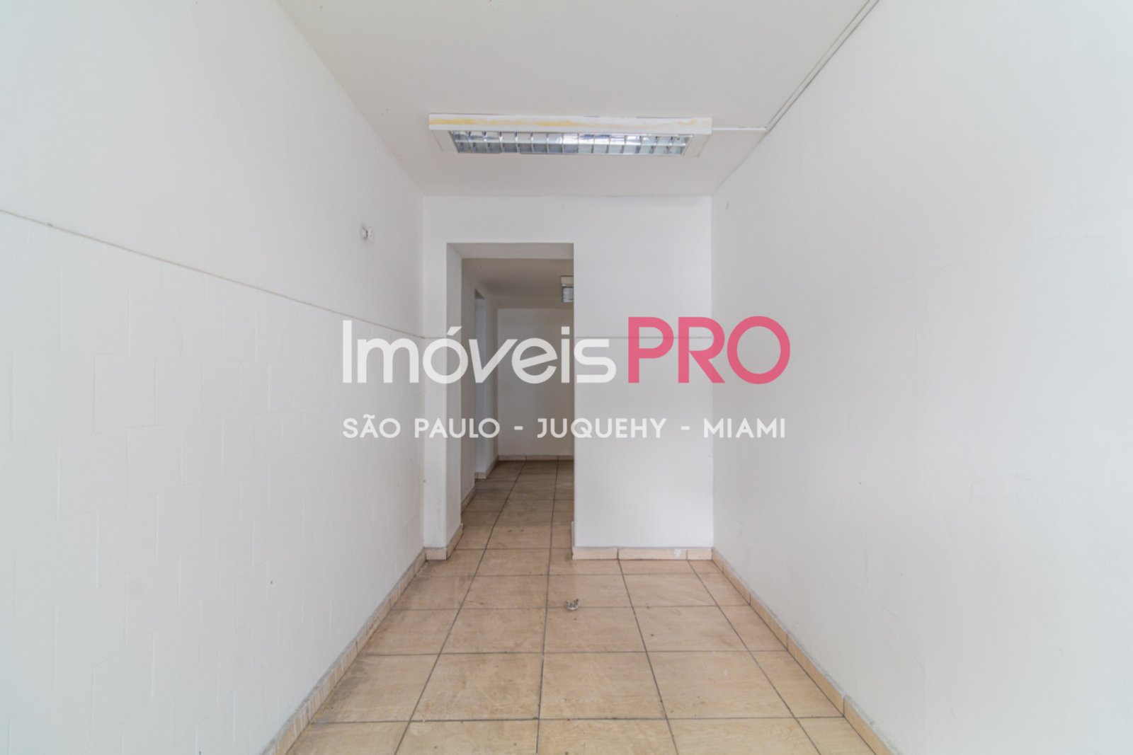 Foto :: IP39367