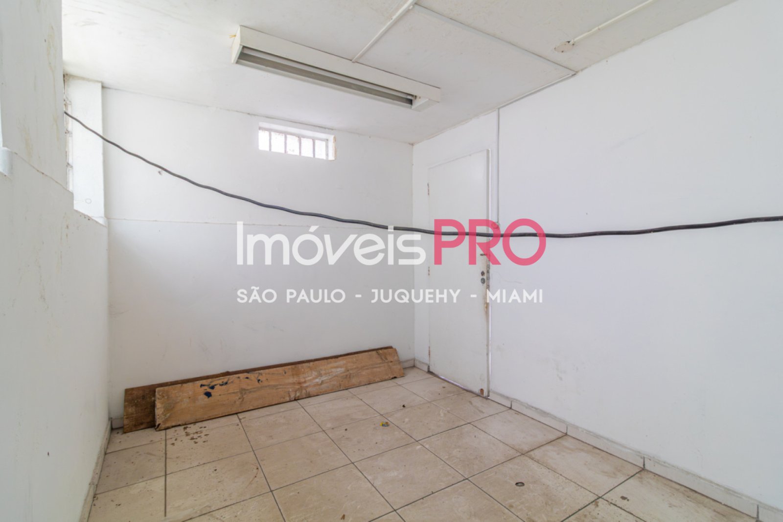 Foto :: IP39367