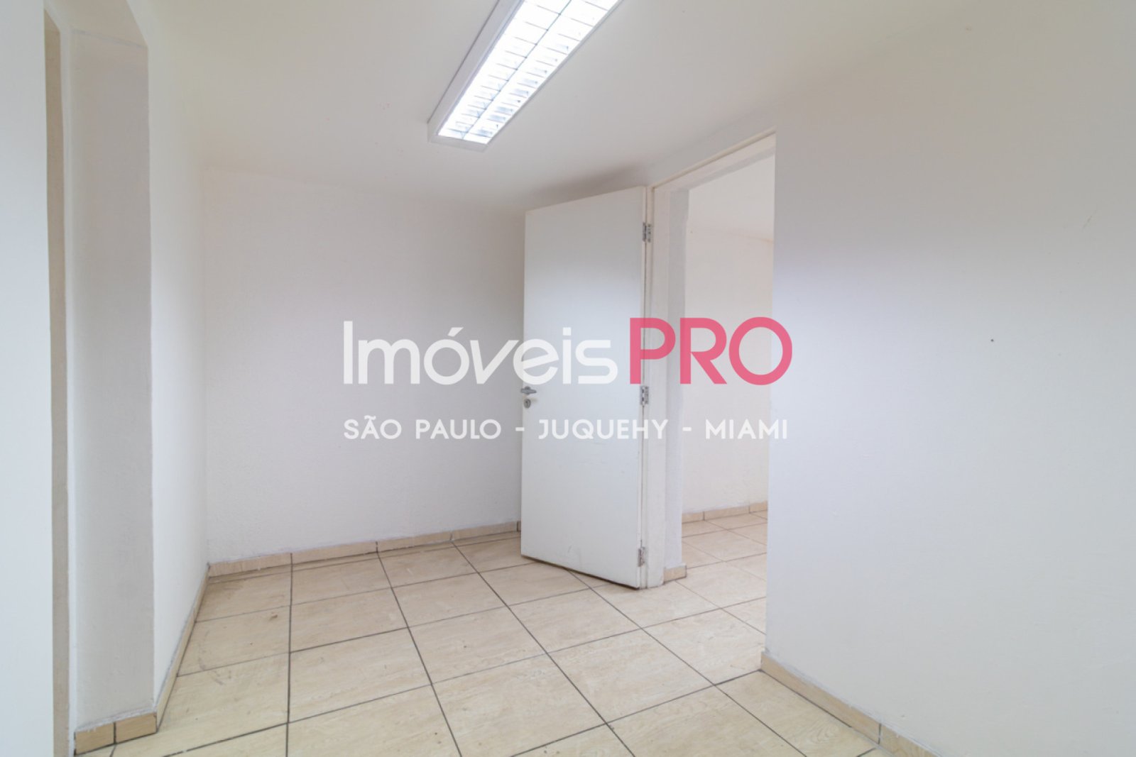 Foto :: IP39367