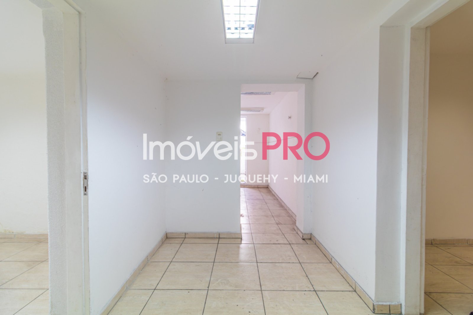 Foto :: IP39367