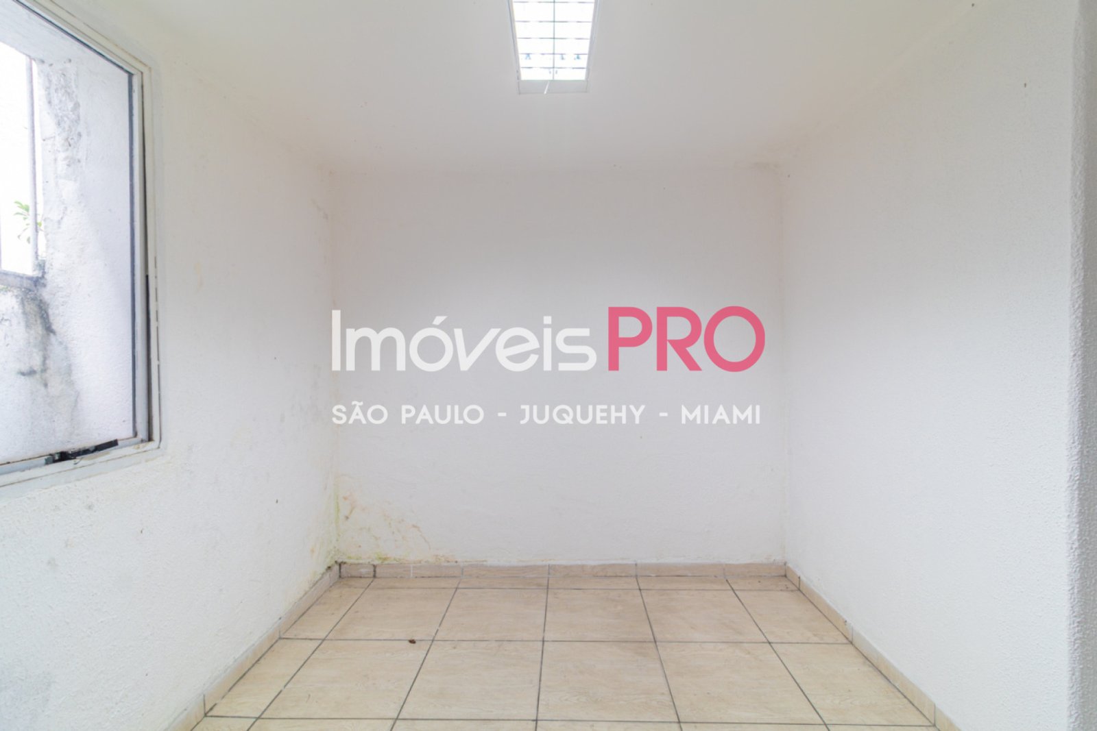 Foto :: IP39367