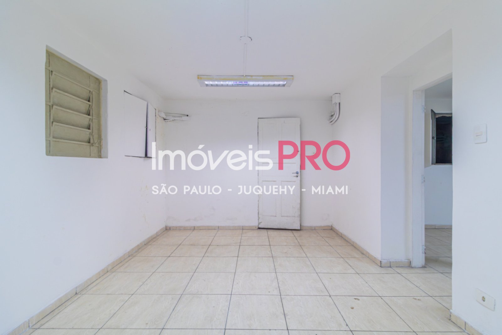 Foto :: IP39367