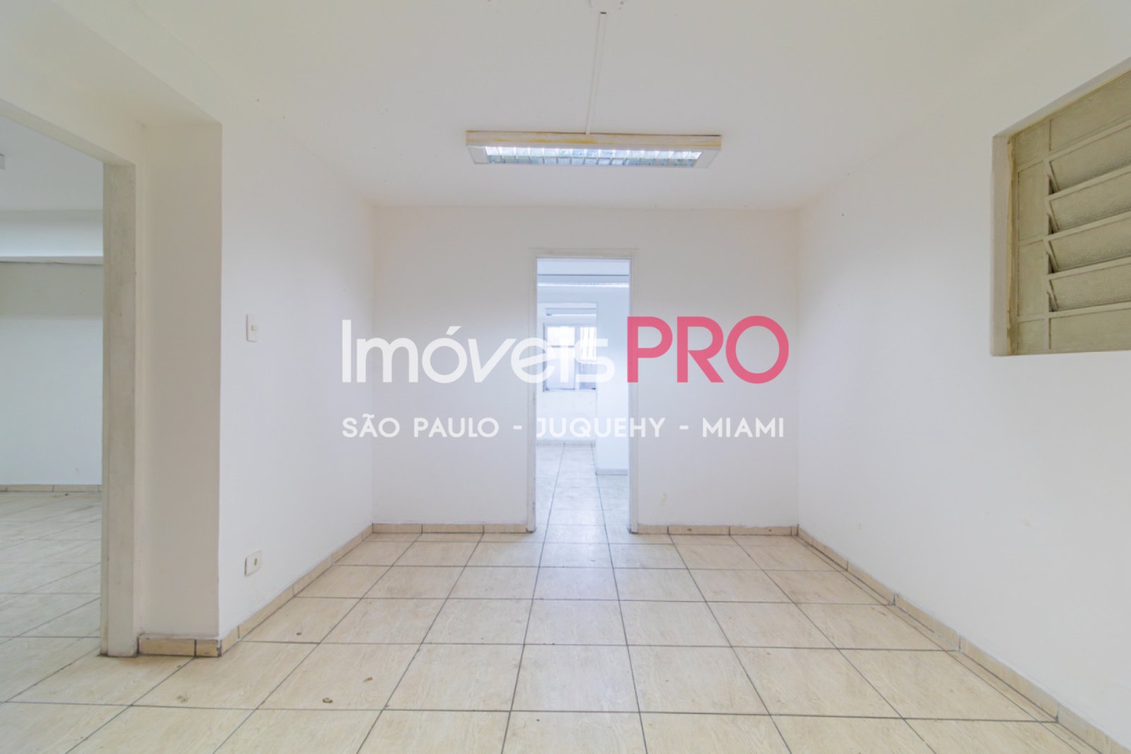 Foto :: IP39367
