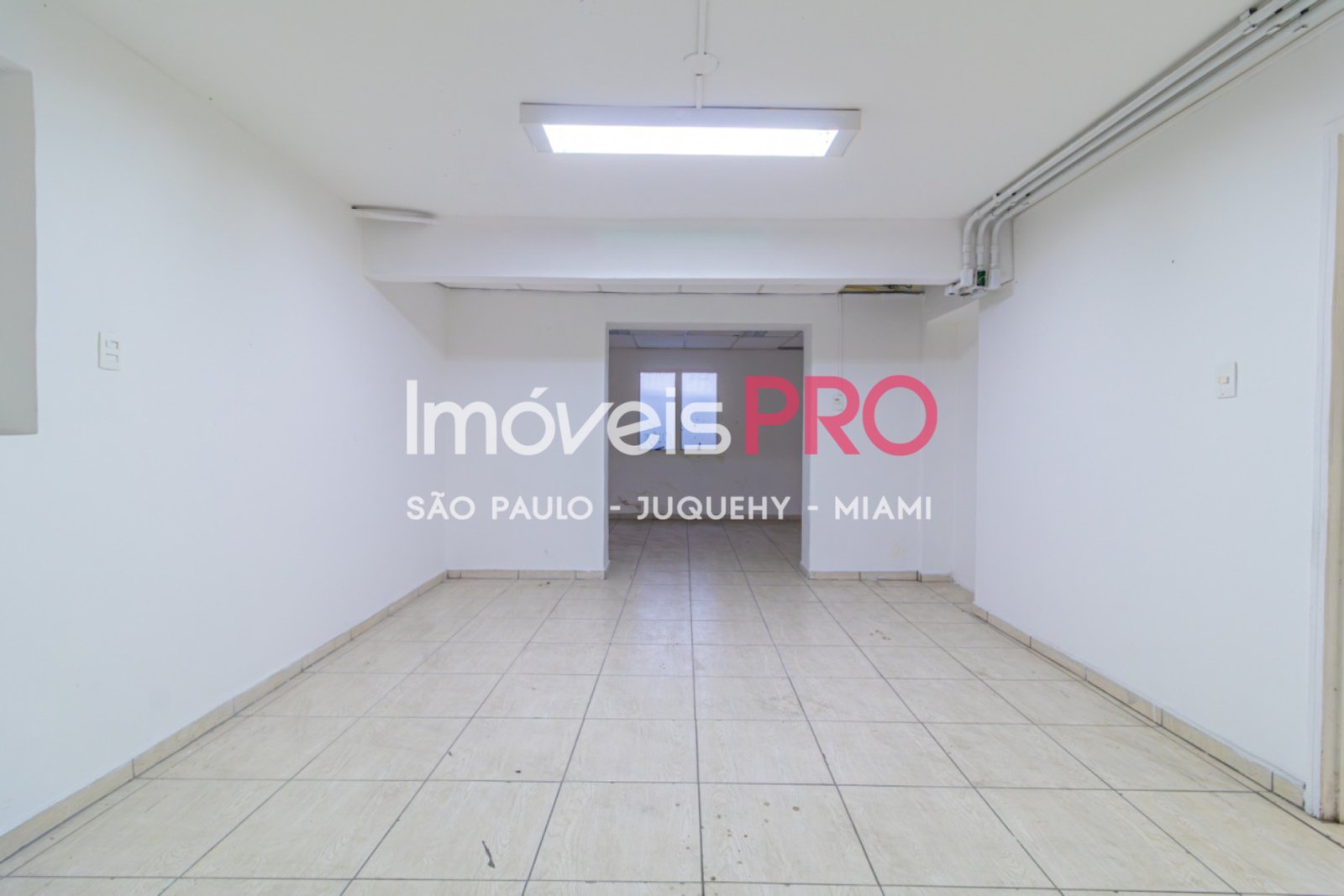 Foto :: IP39367