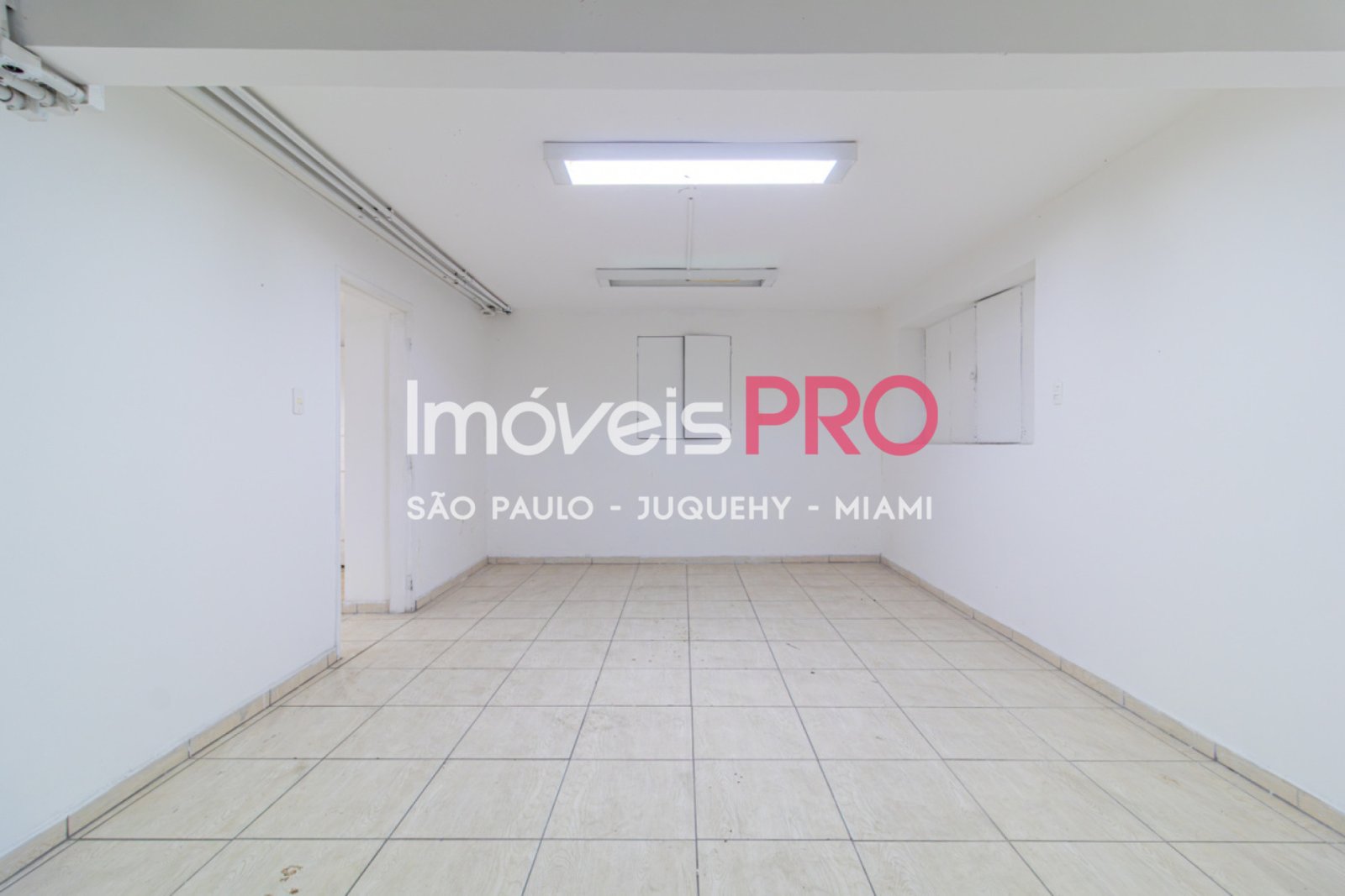 Foto :: IP39367